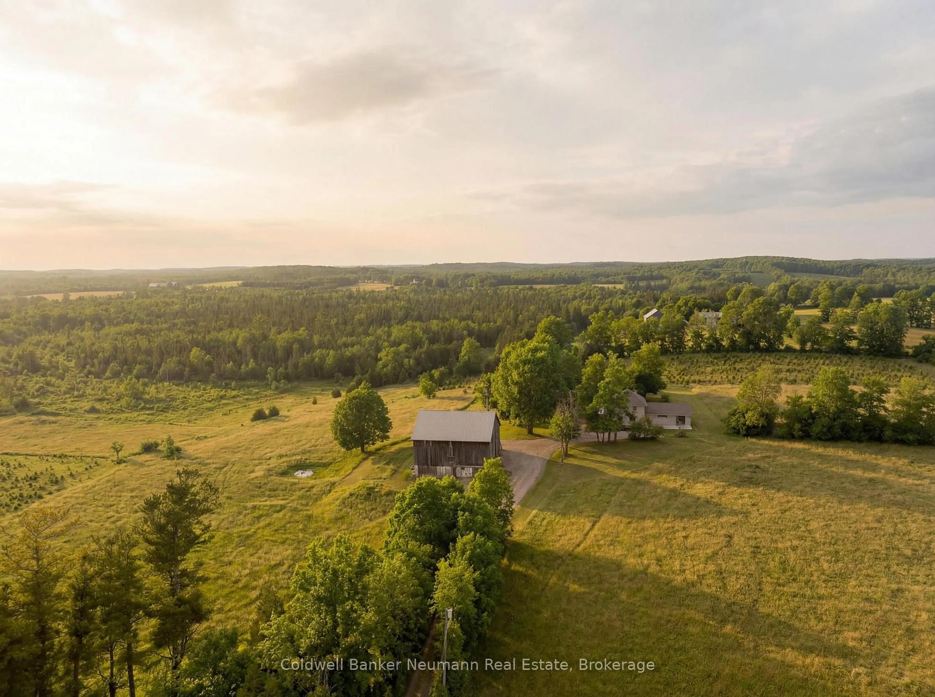 A pic from outside/outdoor area/front of a property/back of a property/a pic from drone, forest/trees view for 234089 Conc 2 Rd, West Grey Ontario N0G 1R0