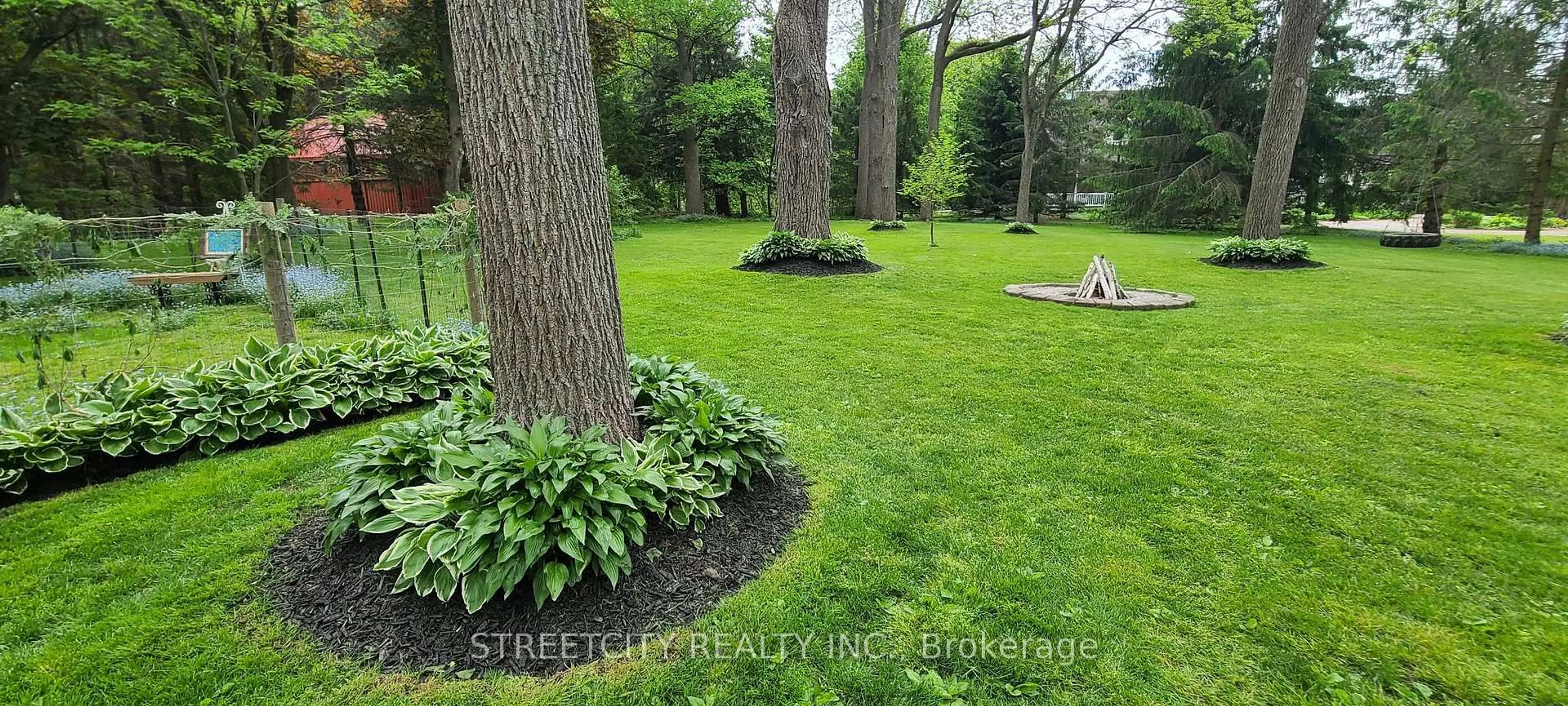 Patio, forest/trees view for 38803 Talbot Line, Southwold Ontario N5P 3T2