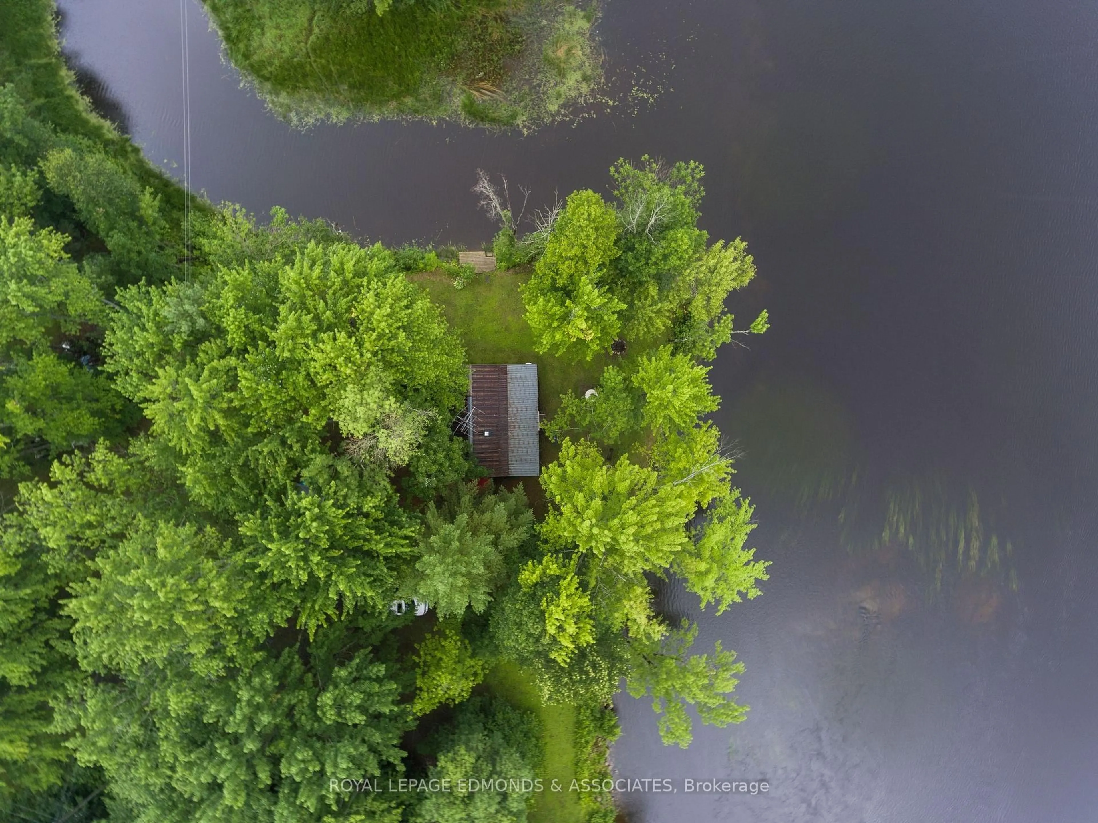 A pic from outside/outdoor area/front of a property/back of a property/a pic from drone, forest/trees view for 178 Purple Finch Tr, Beachburg Ontario K0J 1C0