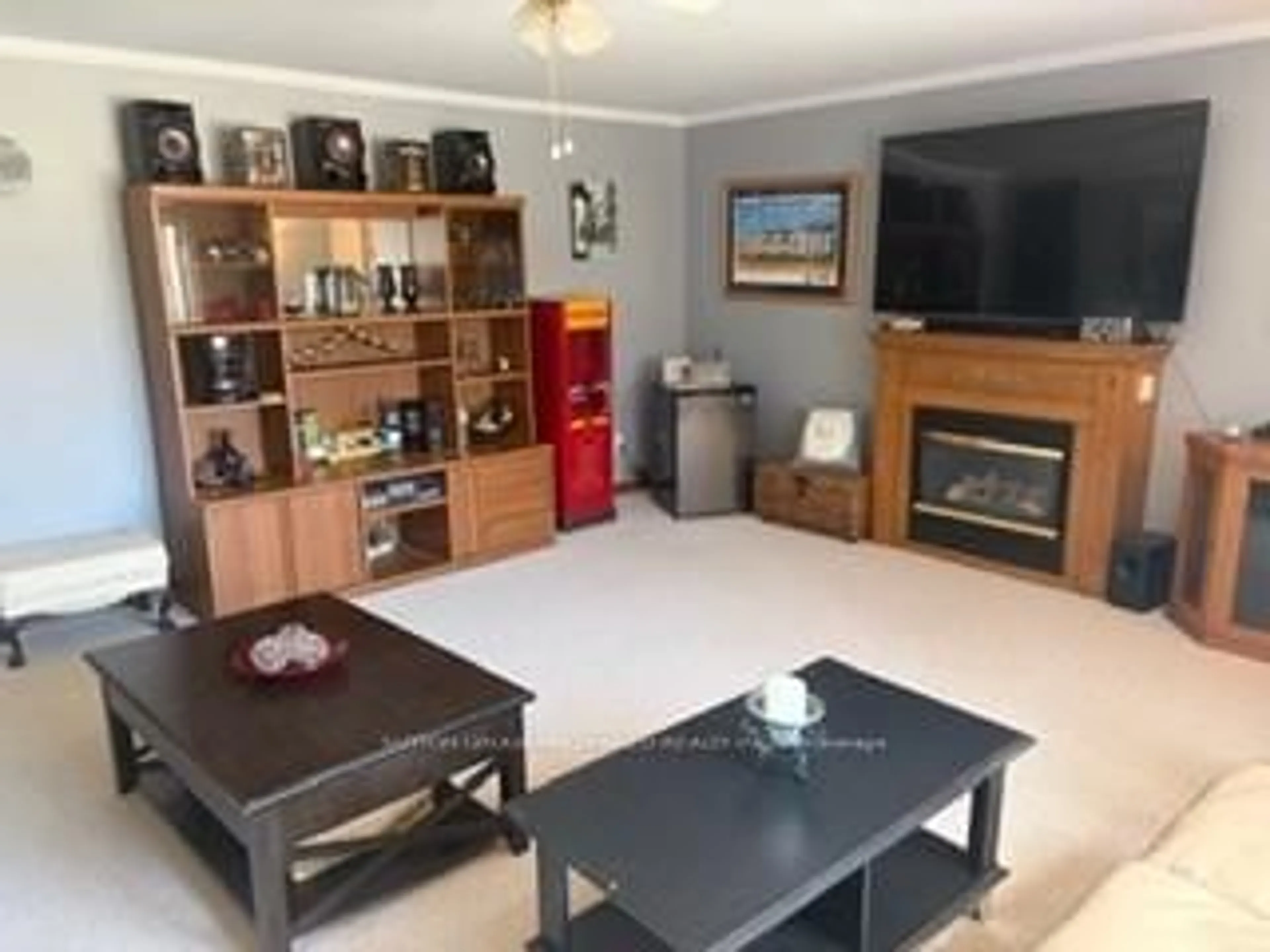 Living room with furniture, unknown for 25 Spring Pl, Chatham-Kent Ontario N7L 4N8
