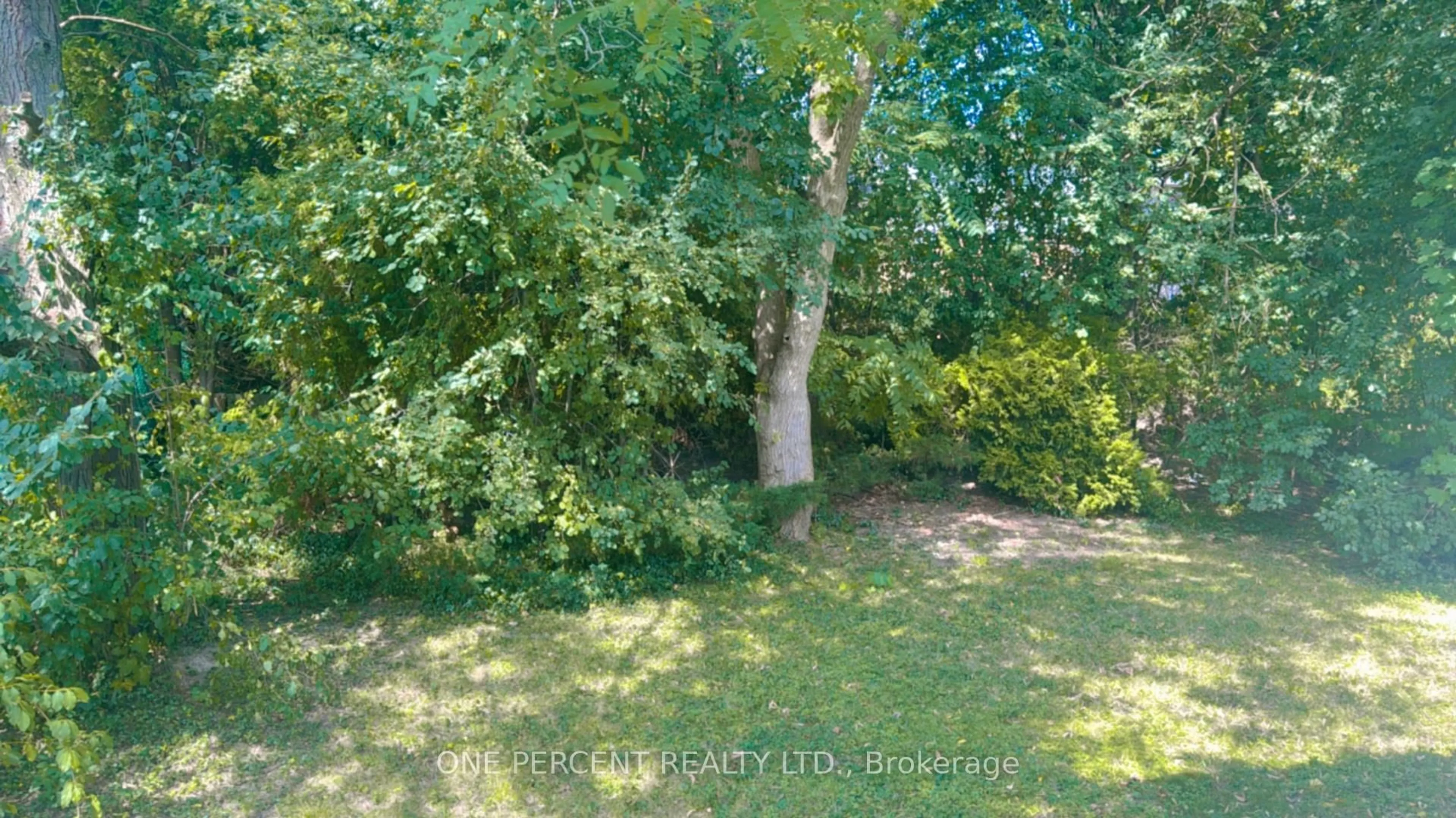 A pic from outside/outdoor area/front of a property/back of a property/a pic from drone, forest/trees view for 131 Paperbirch Cres, London North Ontario N6G 1L8