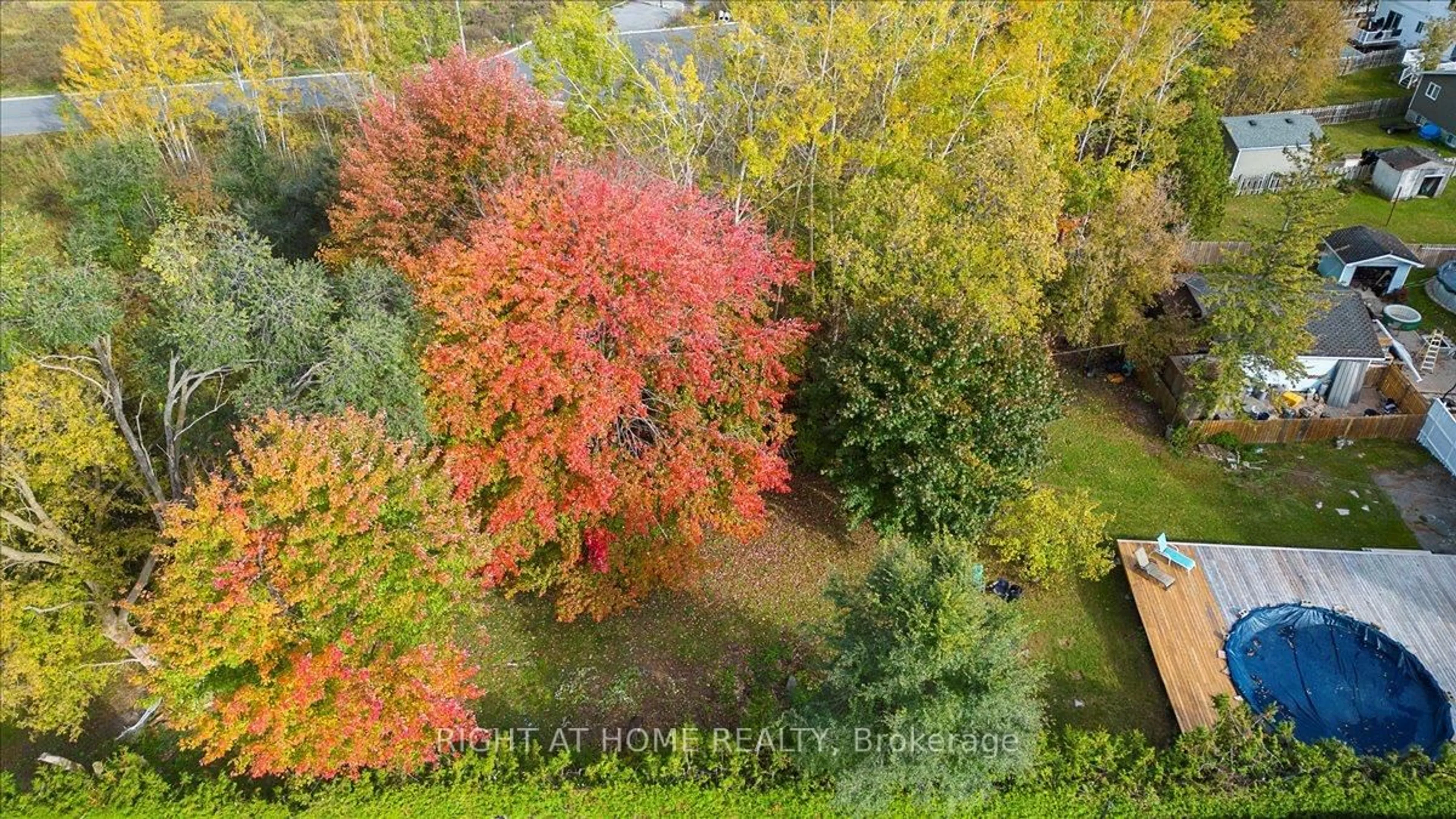 A pic from outside/outdoor area/front of a property/back of a property/a pic from drone, forest/trees view for 424 LAURIER St, Clarence-Rockland Ontario K4K 1E7