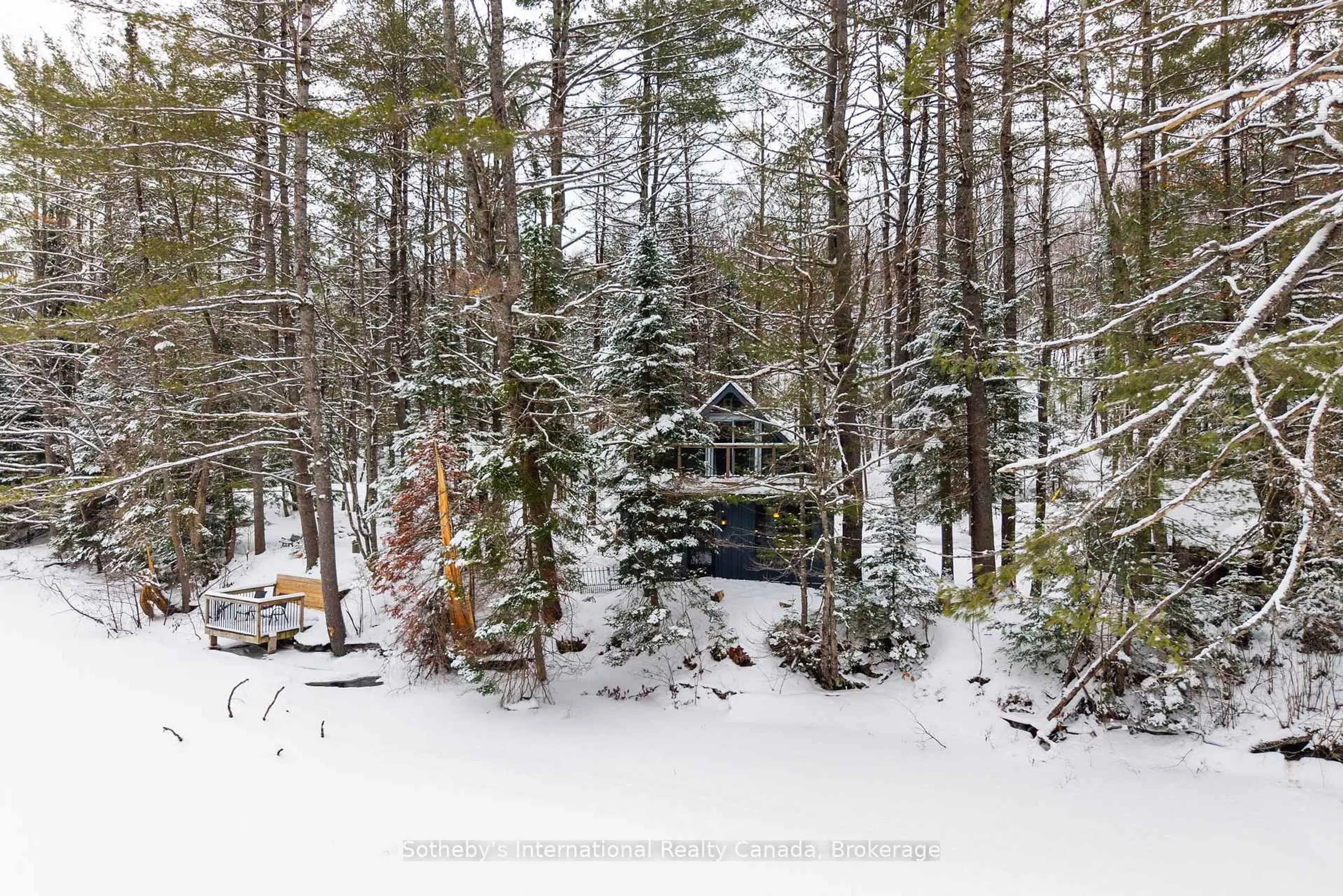 A pic from outside/outdoor area/front of a property/back of a property/a pic from drone, forest/trees view for 1079 Jopling Rd, Minden Hills Ontario K0M 2A1