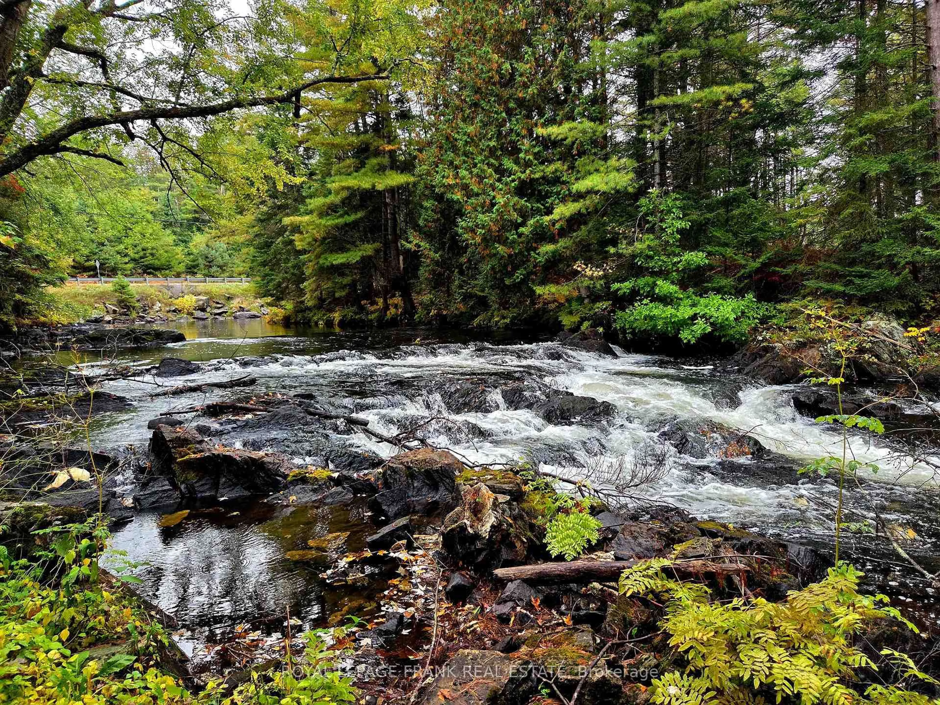 Blurry image for 8847 Highway 28, North Kawartha Ontario K0L 1A0