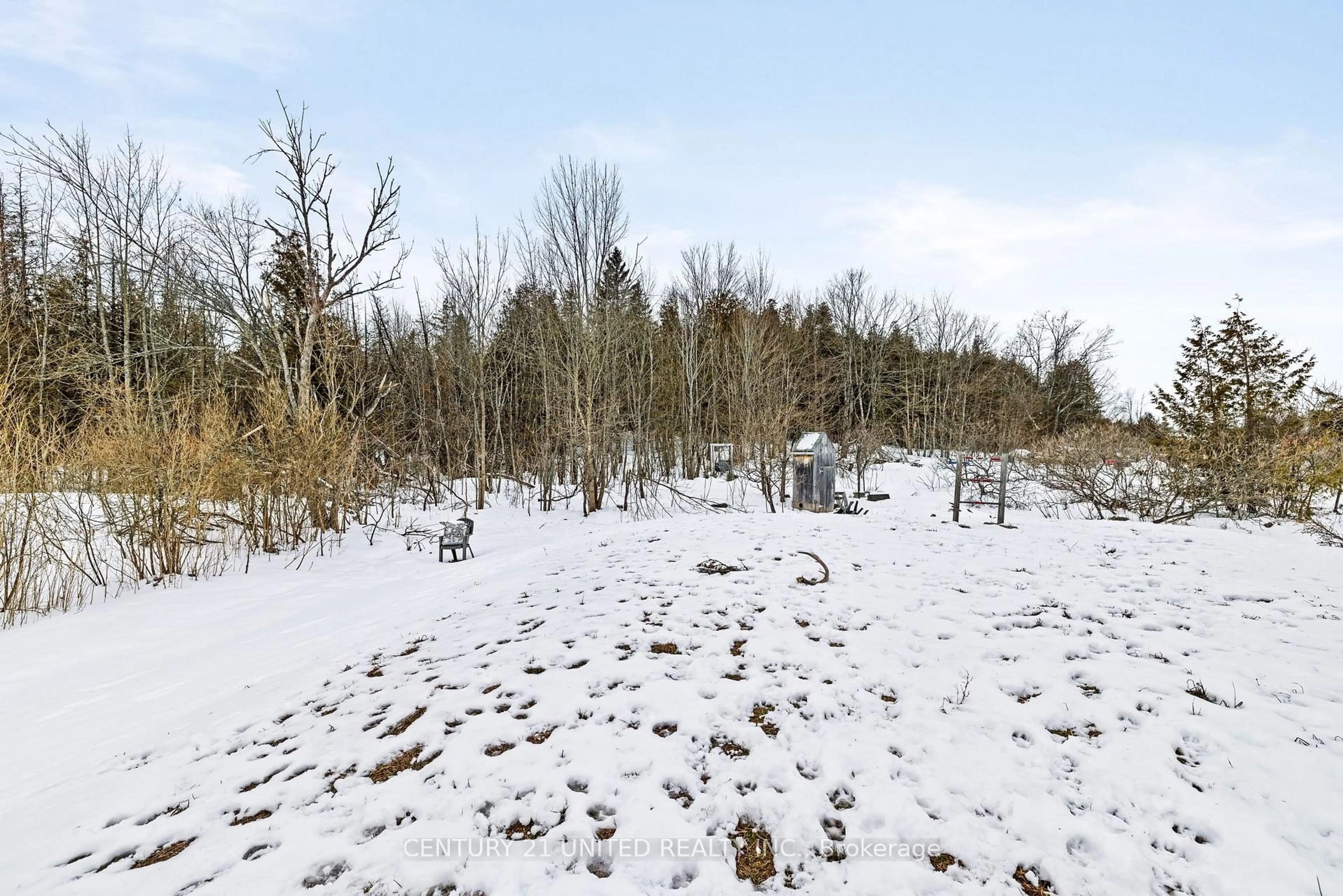 A pic from outside/outdoor area/front of a property/back of a property/a pic from drone, forest/trees view for 2234 Mccrackens Landing Rd, Douro-Dummer Ontario K0L 2H0