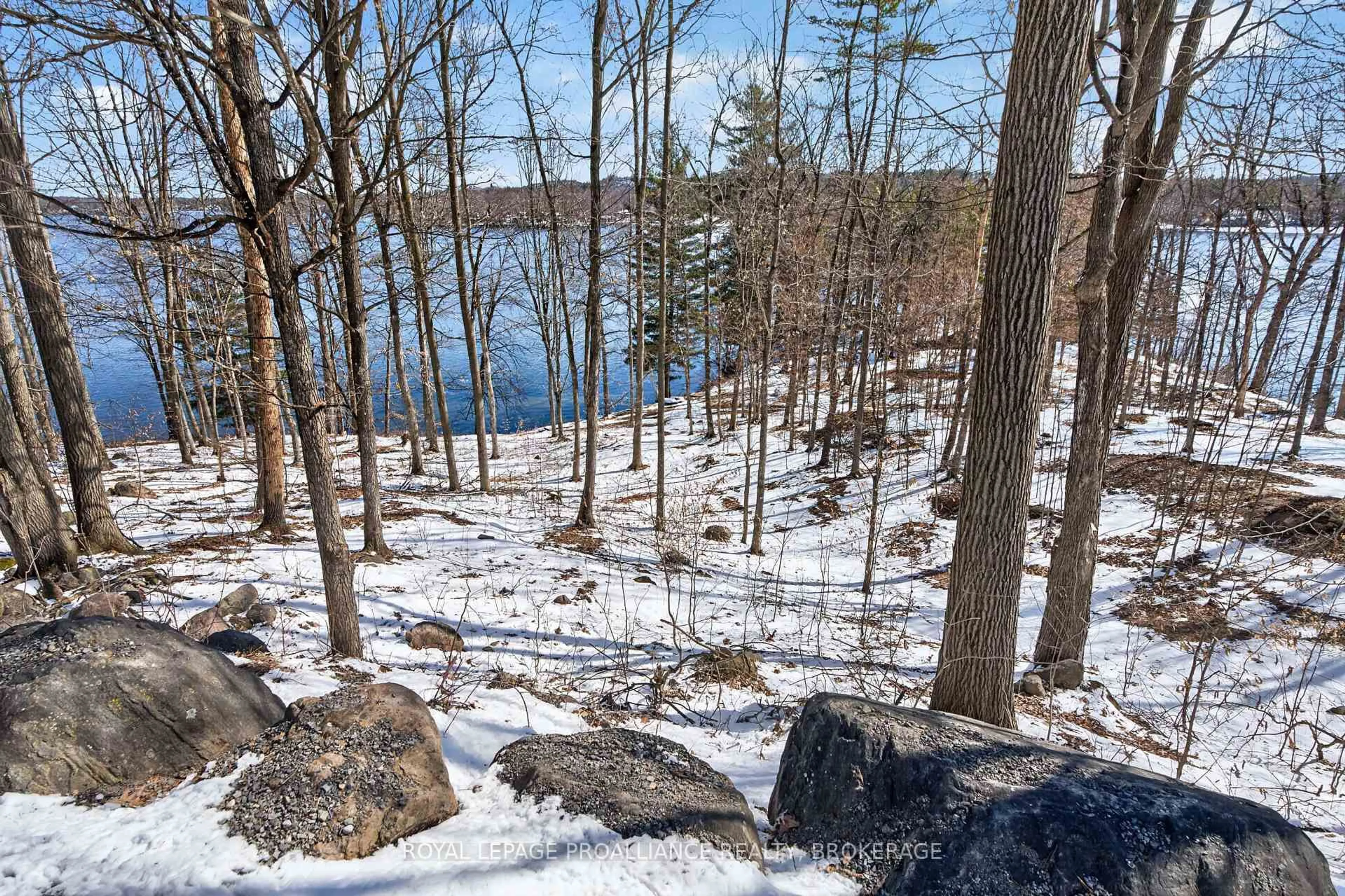A pic from outside/outdoor area/front of a property/back of a property/a pic from drone, forest/trees view for 606 Whites Point Rd, Rideau Lakes Ontario K0G 1E0