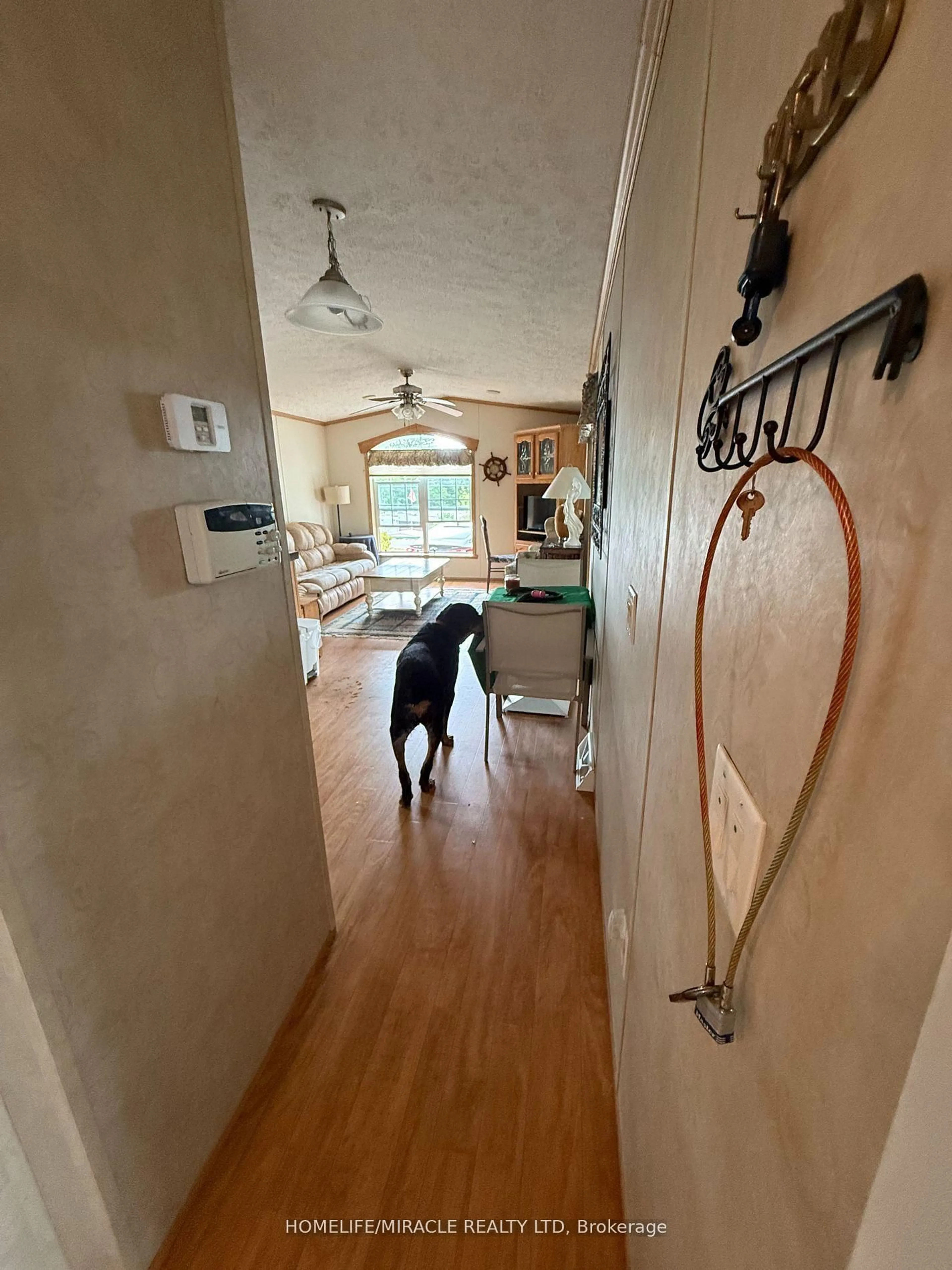 A pic of a room for 11 Grandview Dr, Peterborough Ontario K0L 2G0