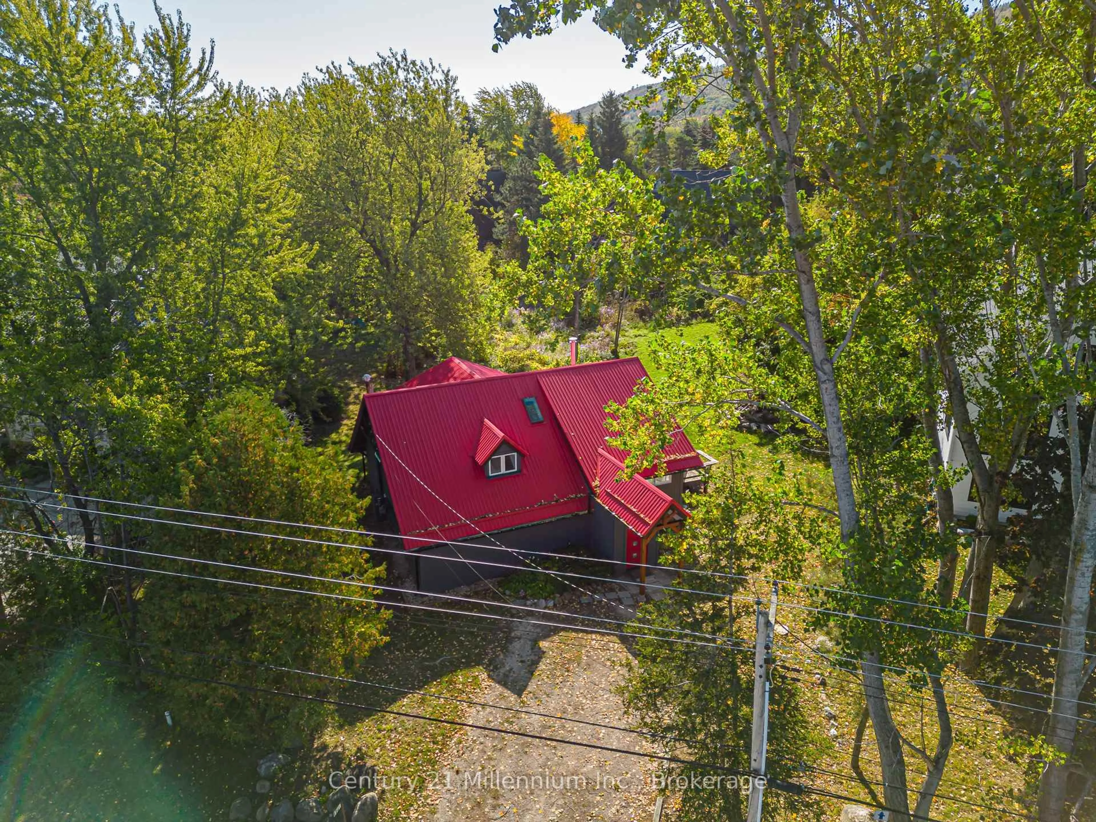 A pic from outside/outdoor area/front of a property/back of a property/a pic from drone, forest/trees view for 178 Sleepy Hollow Rd, Blue Mountains Ontario L9Y 0S8
