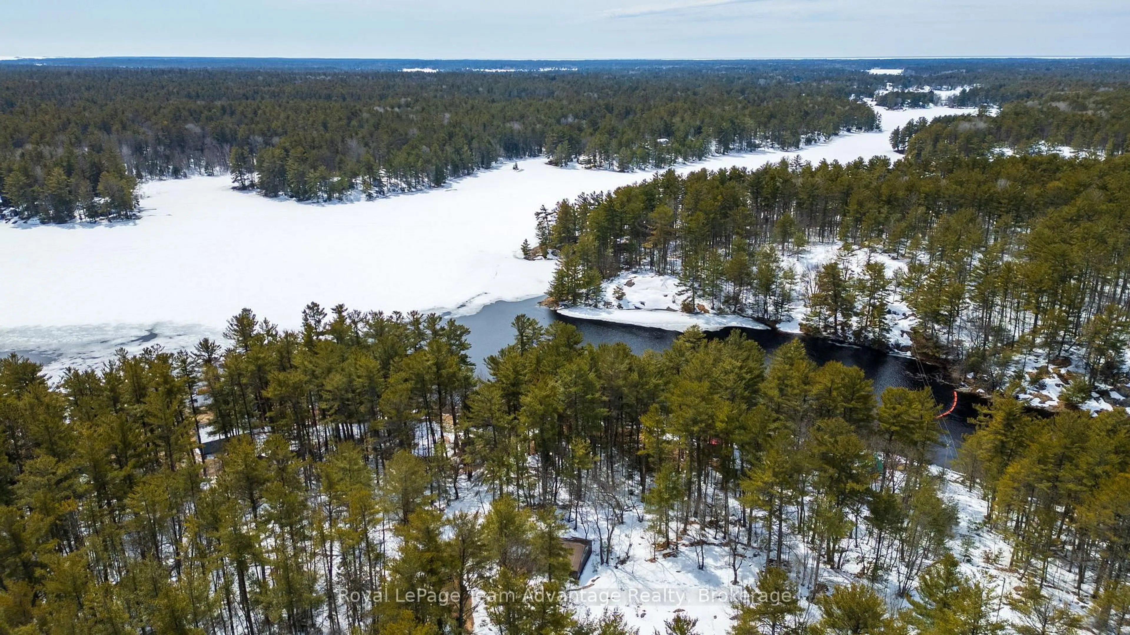 A pic from outside/outdoor area/front of a property/back of a property/a pic from drone, forest/trees view for 39 Wood Duck Tr, The Archipelago Ontario P0G 1K0