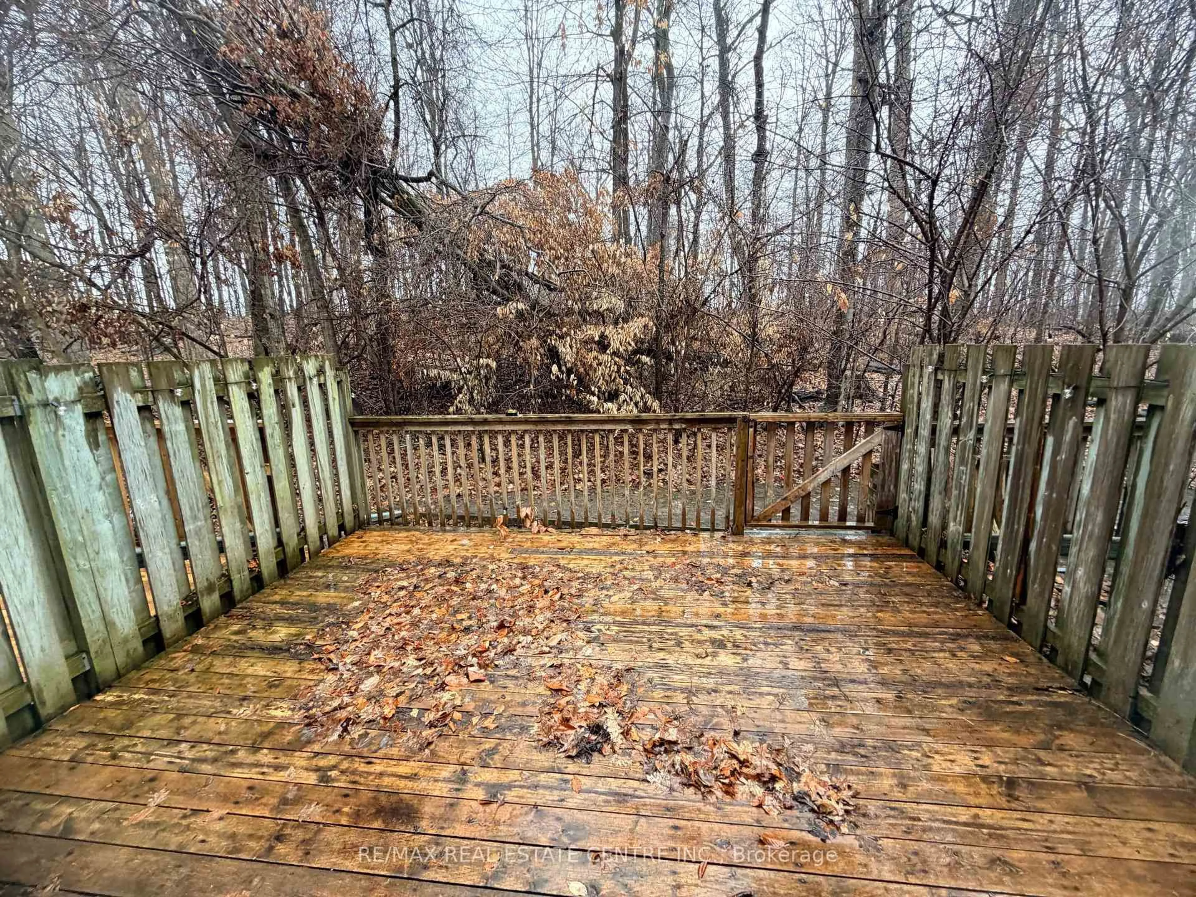 Patio, forest/trees view for 219 Kingswood Dr #29, Kitchener Ontario N2E 3J5