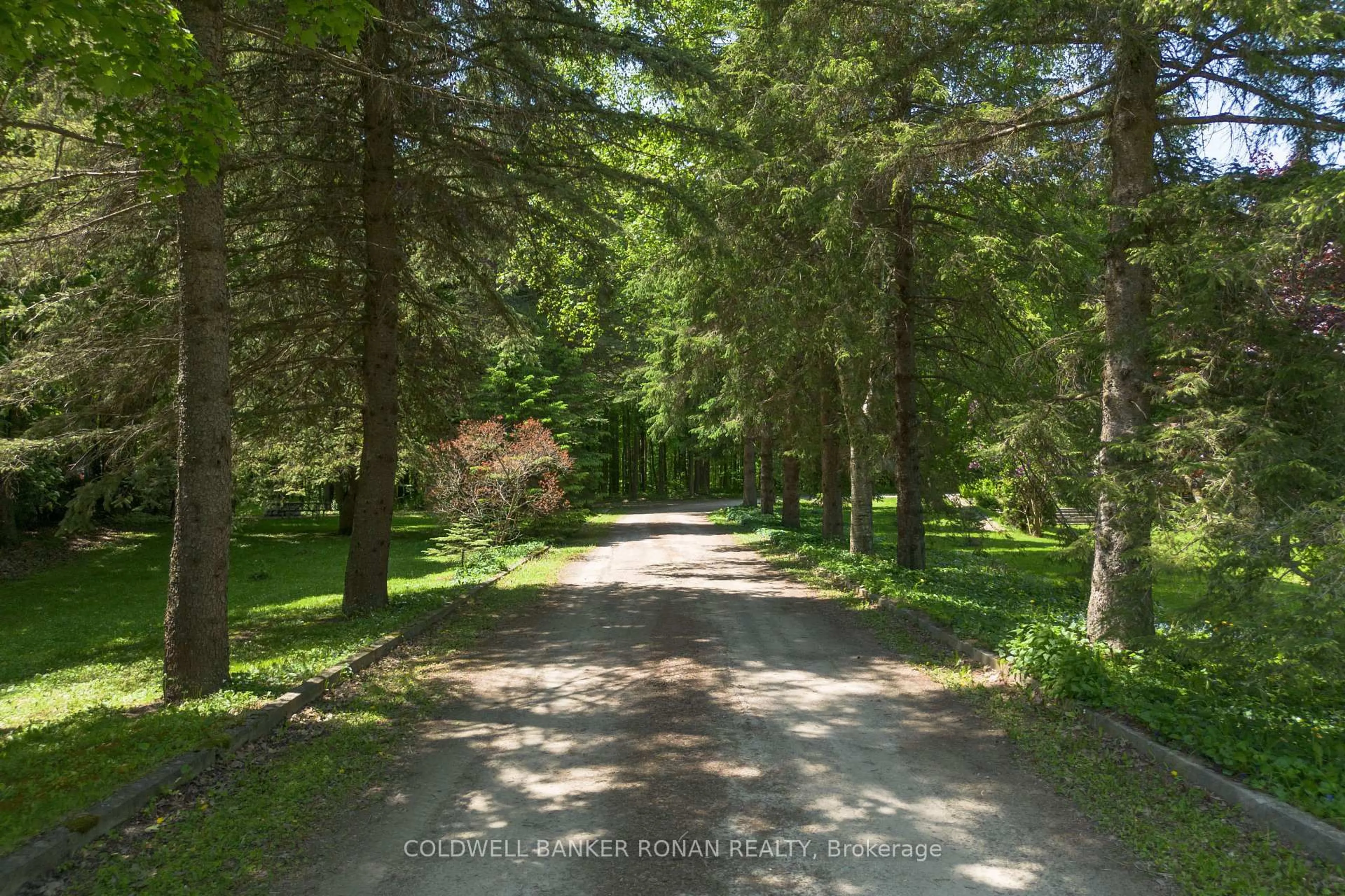 A pic from outside/outdoor area/front of a property/back of a property/a pic from drone, forest/trees view for 953026 7th Line, Mono Ontario L9W 6E6