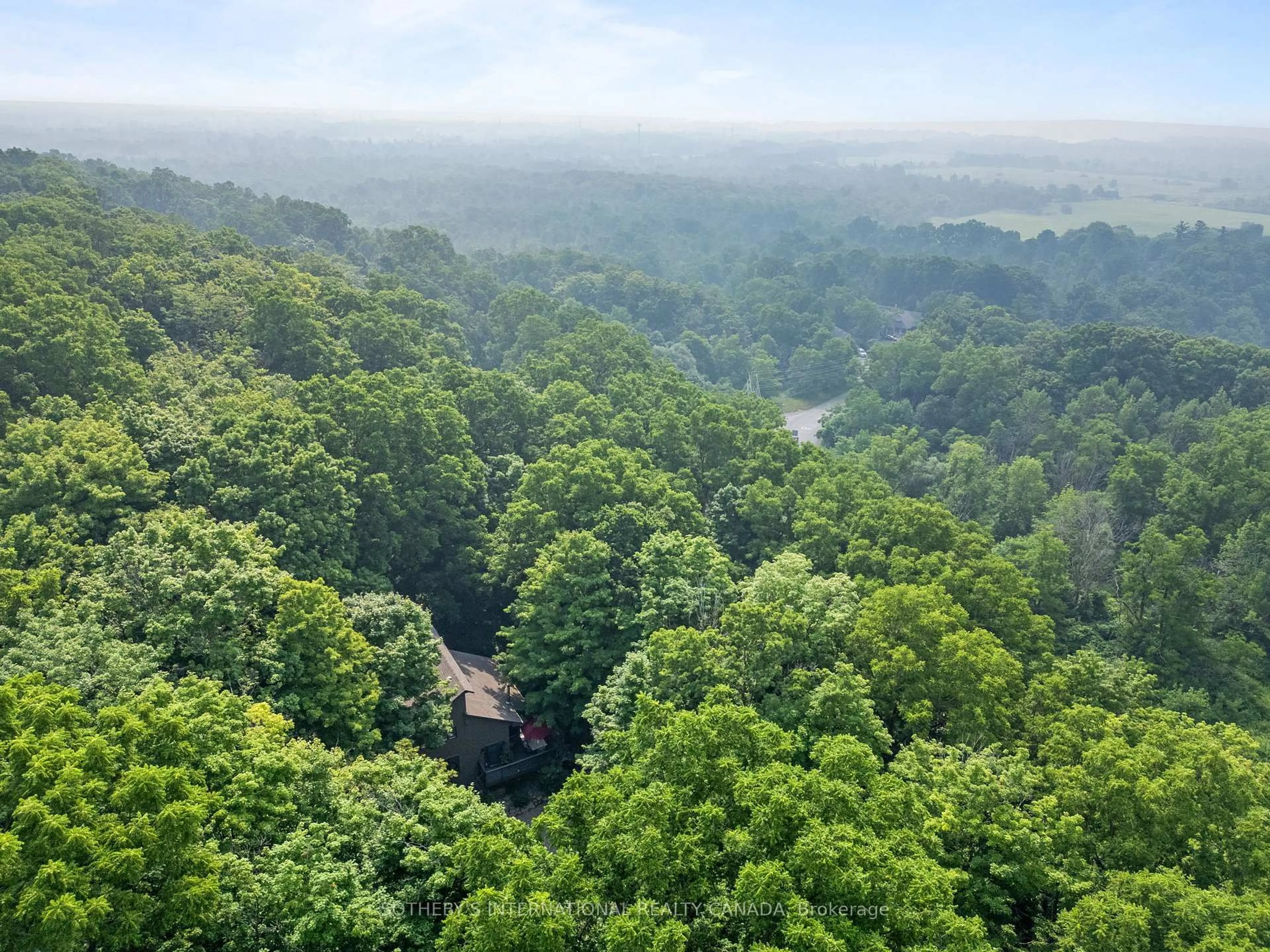 A pic from outside/outdoor area/front of a property/back of a property/a pic from drone, forest/trees view for 141 Valley Rd, Hamilton Ontario L9H 5E2