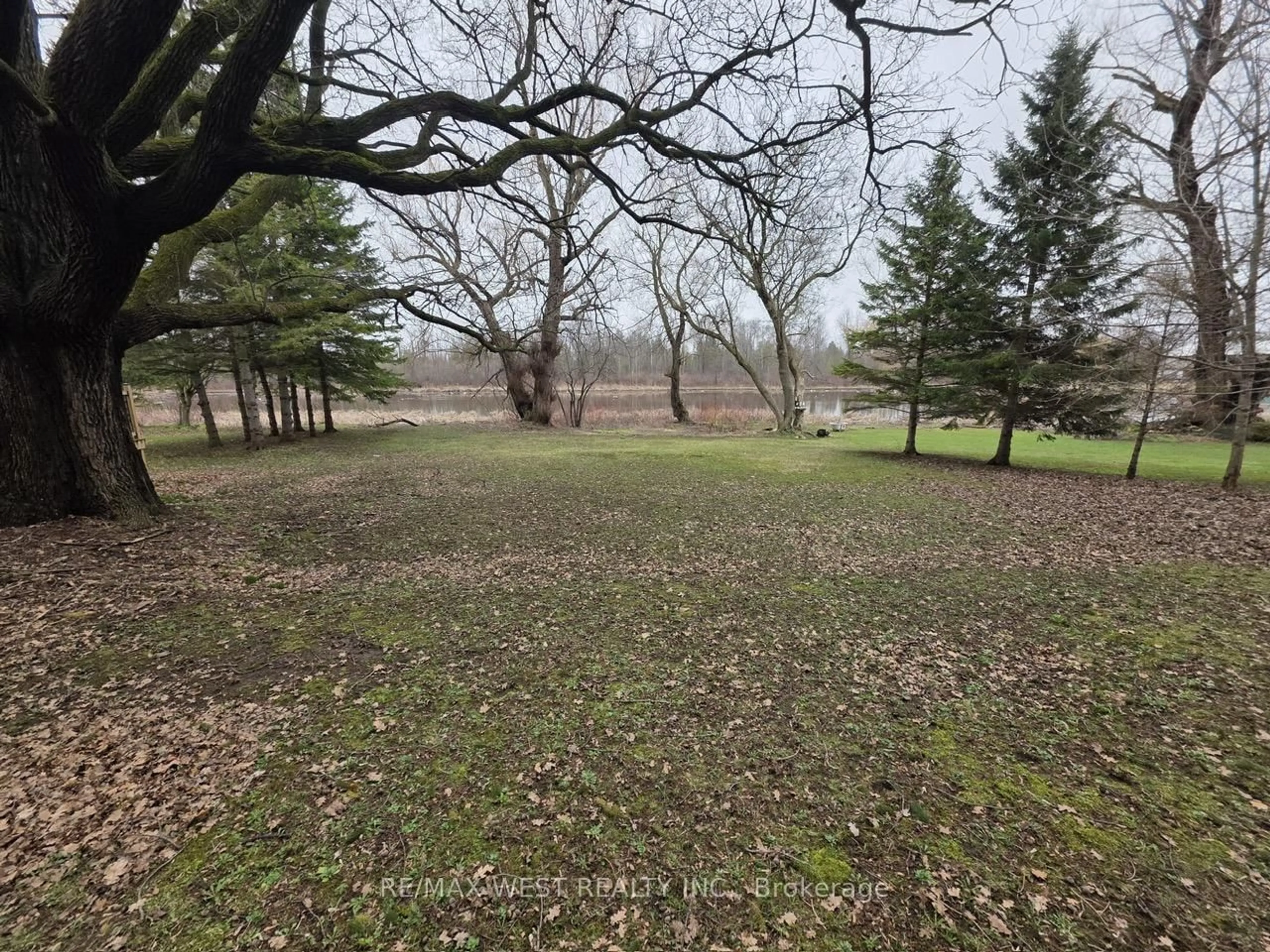 A pic from outside/outdoor area/front of a property/back of a property/a pic from drone, forest/trees view for 476 Hamilton St, Huron-Kinloss Ontario N0G 2H0