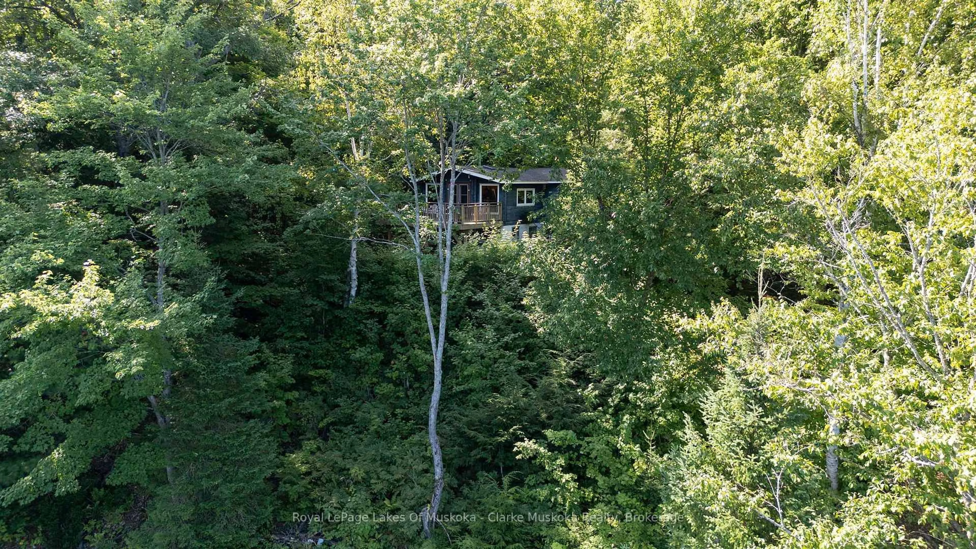 A pic from outside/outdoor area/front of a property/back of a property/a pic from drone, forest/trees view for 74 Lioness Rd, Seguin Ontario P2A 2W8