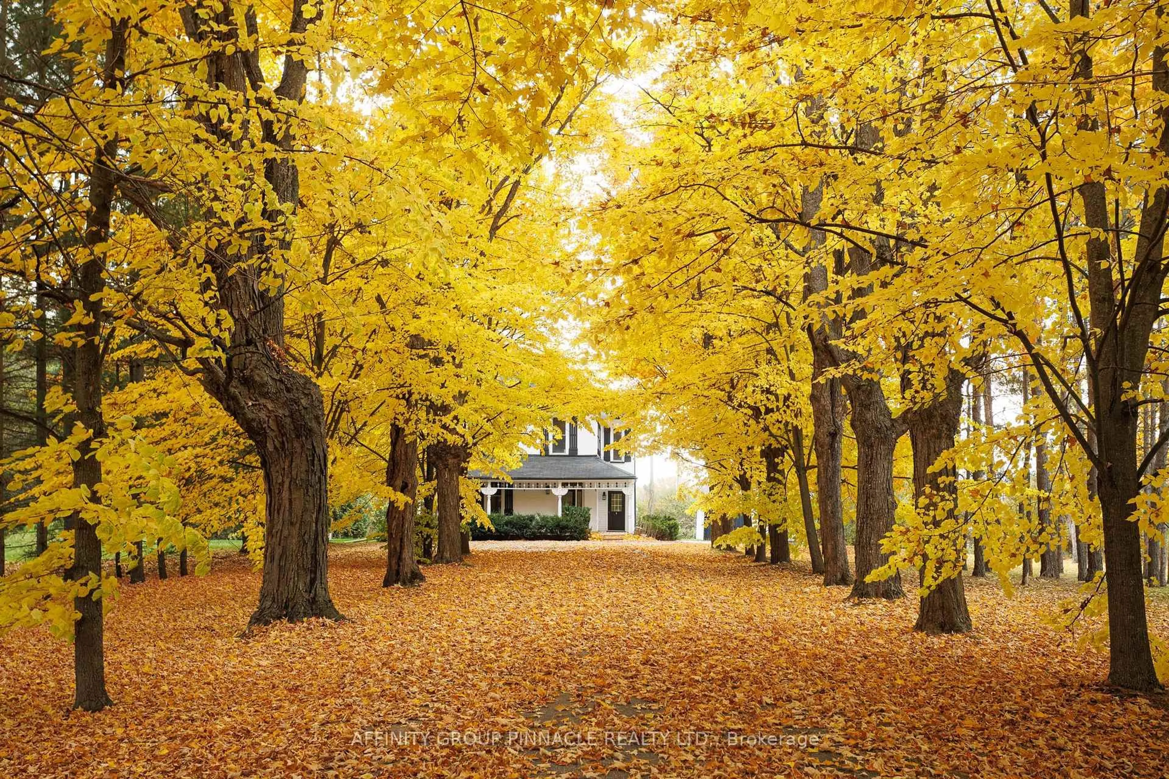 Patio, street for 2126 County Rd 36 Rd, Kawartha Lakes Ontario K0M 1L0