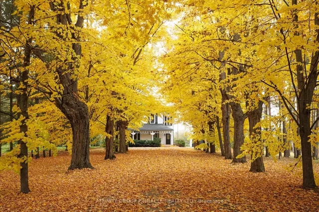 2126 County Rd 36 Rd, Kawartha Lakes 4
