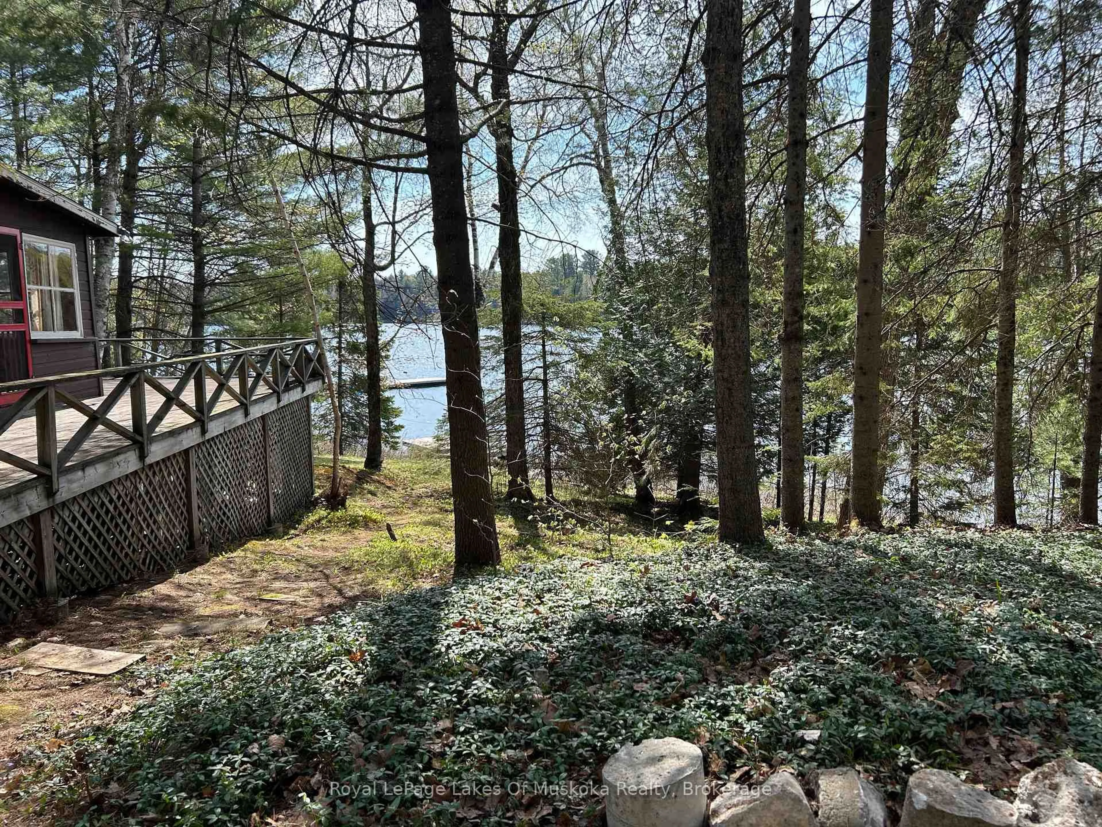 A pic from outside/outdoor area/front of a property/back of a property/a pic from drone, water/lake/river/ocean view for 1091 North Tooke Lake Rd, Lake of Bays Ontario P0B 1A0