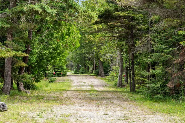 1020 Dorcas Bay Rd, Northern Bruce Peninsula 3