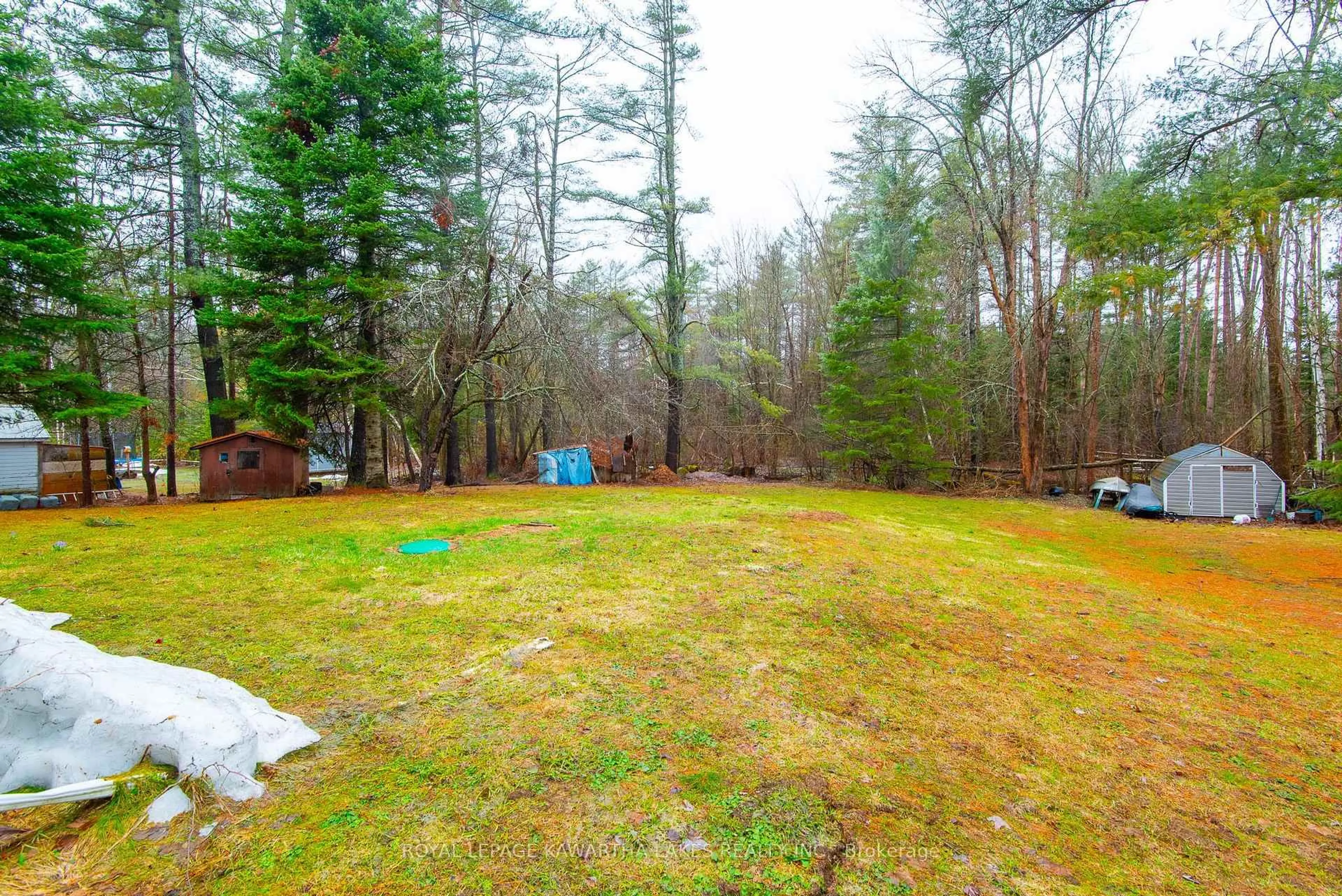 A pic from outside/outdoor area/front of a property/back of a property/a pic from drone, forest/trees view for 15 Benson Blvd, Kawartha Lakes Ontario K0M 1K0