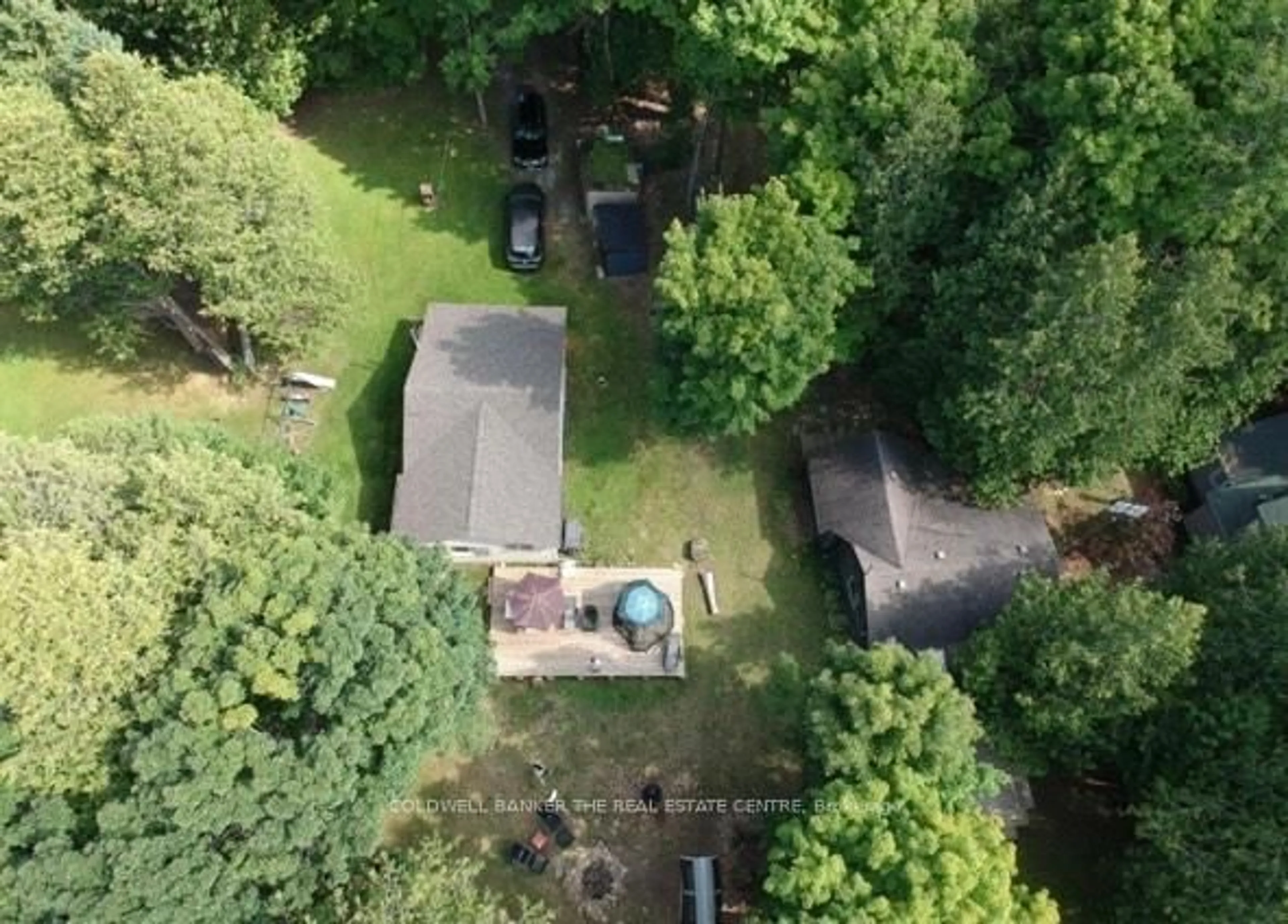 A pic from outside/outdoor area/front of a property/back of a property/a pic from drone, forest/trees view for 227 Sunset Beach Rd, Kawartha Lakes Ontario K0M 2B0