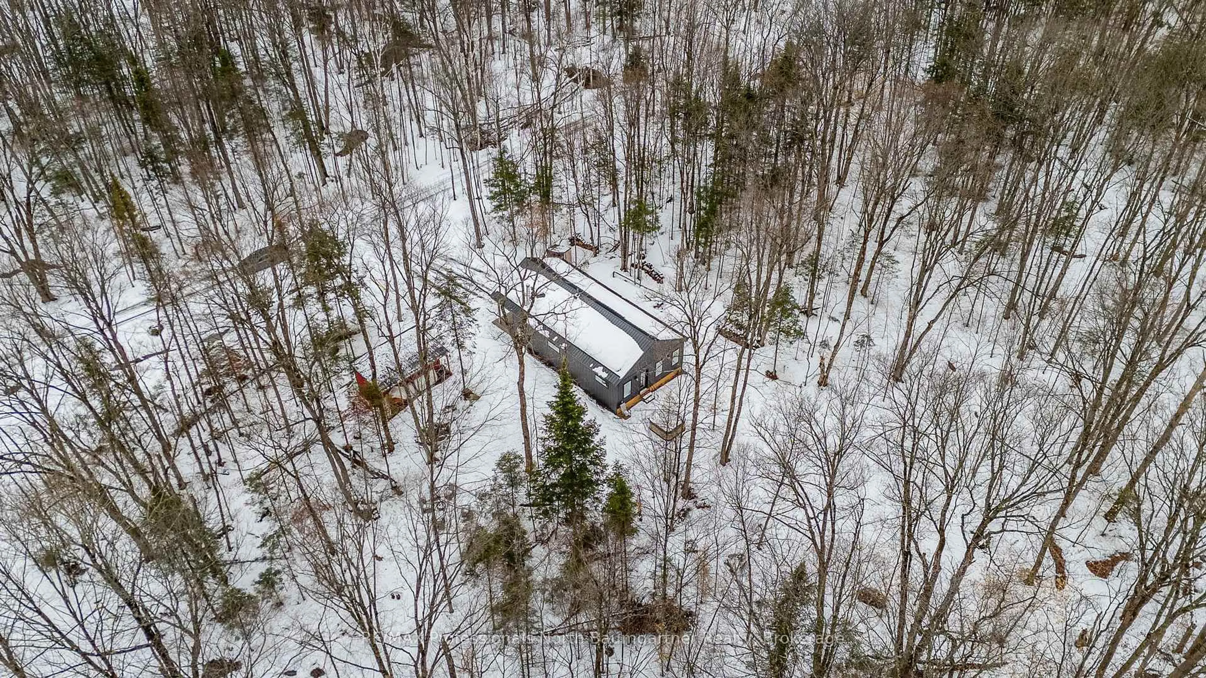 A pic from outside/outdoor area/front of a property/back of a property/a pic from drone, forest/trees view for 1366 Basshaunt Lake Rd, Dysart et al Ontario K0M 1M0