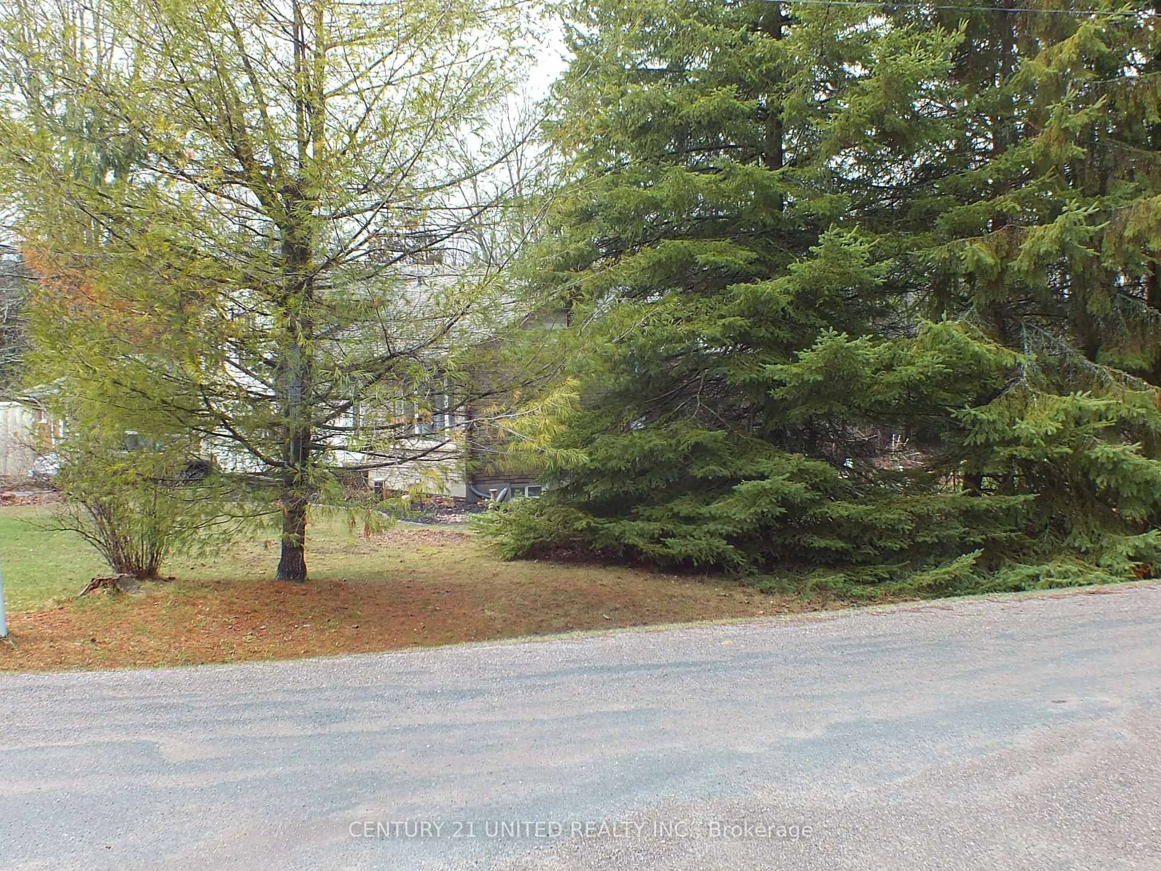 Blurry image for 316 Leon Ave, Selwyn Ontario K9L 1M1