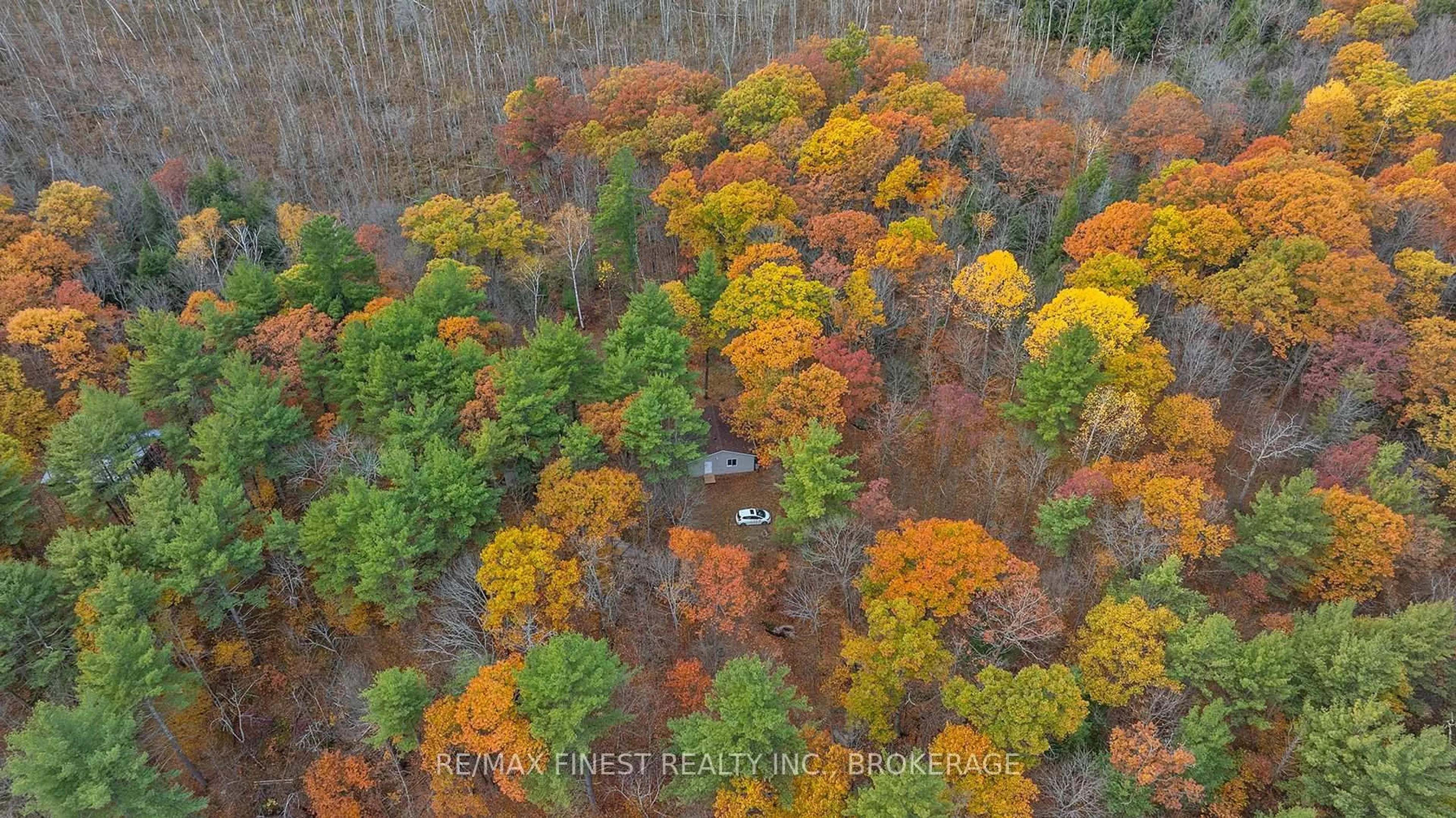 A pic from outside/outdoor area/front of a property/back of a property/a pic from drone, forest/trees view for 1131A Moon Rd, Godfrey Ontario K0H 1T0