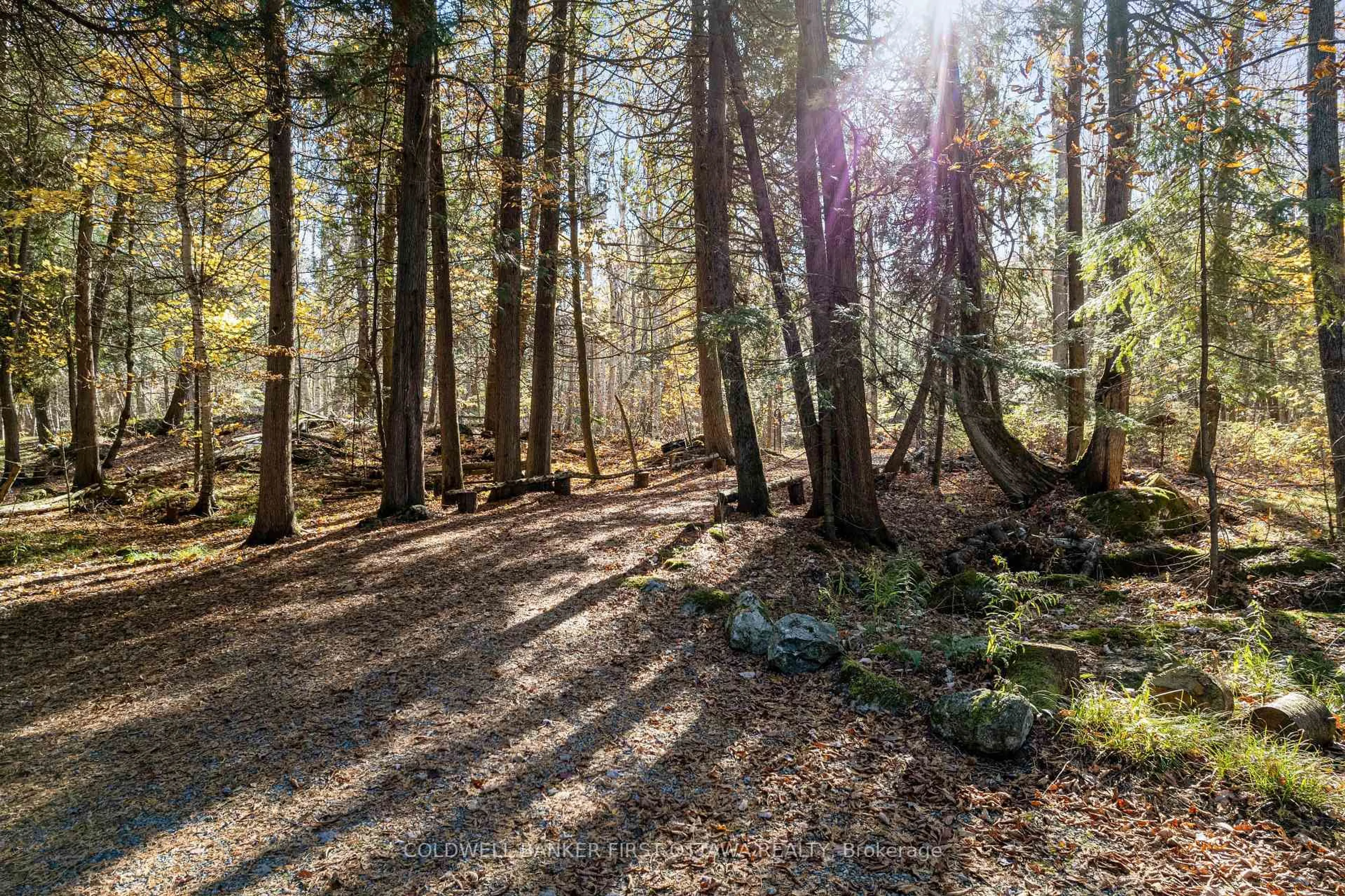 A pic from outside/outdoor area/front of a property/back of a property/a pic from drone, forest/trees view for 334 Featherston Lane, Maberly Ontario K0H 2B0