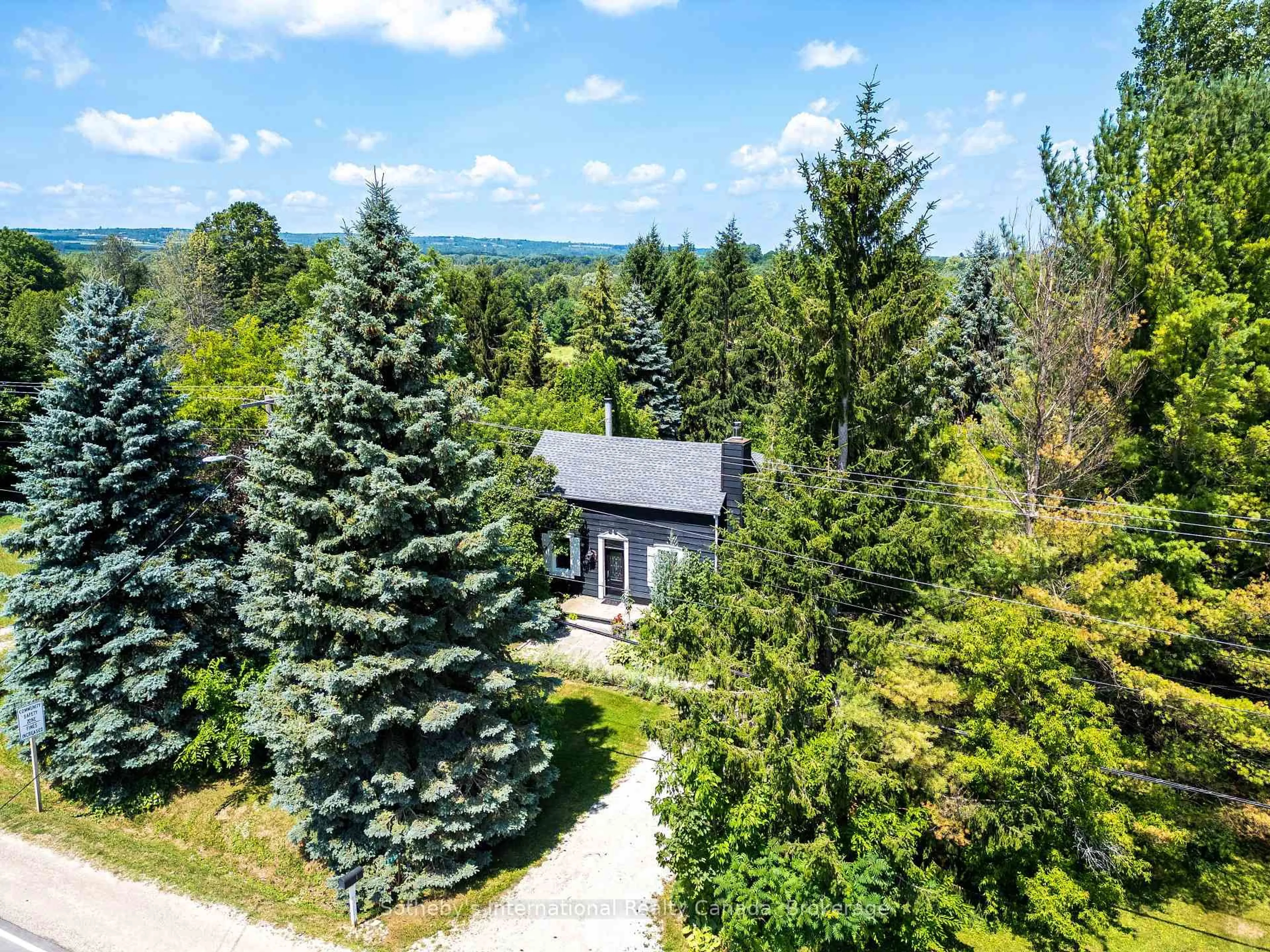 A pic from outside/outdoor area/front of a property/back of a property/a pic from drone, forest/trees view for 119 Matilda St, Blue Mountains Ontario N0H 1J0