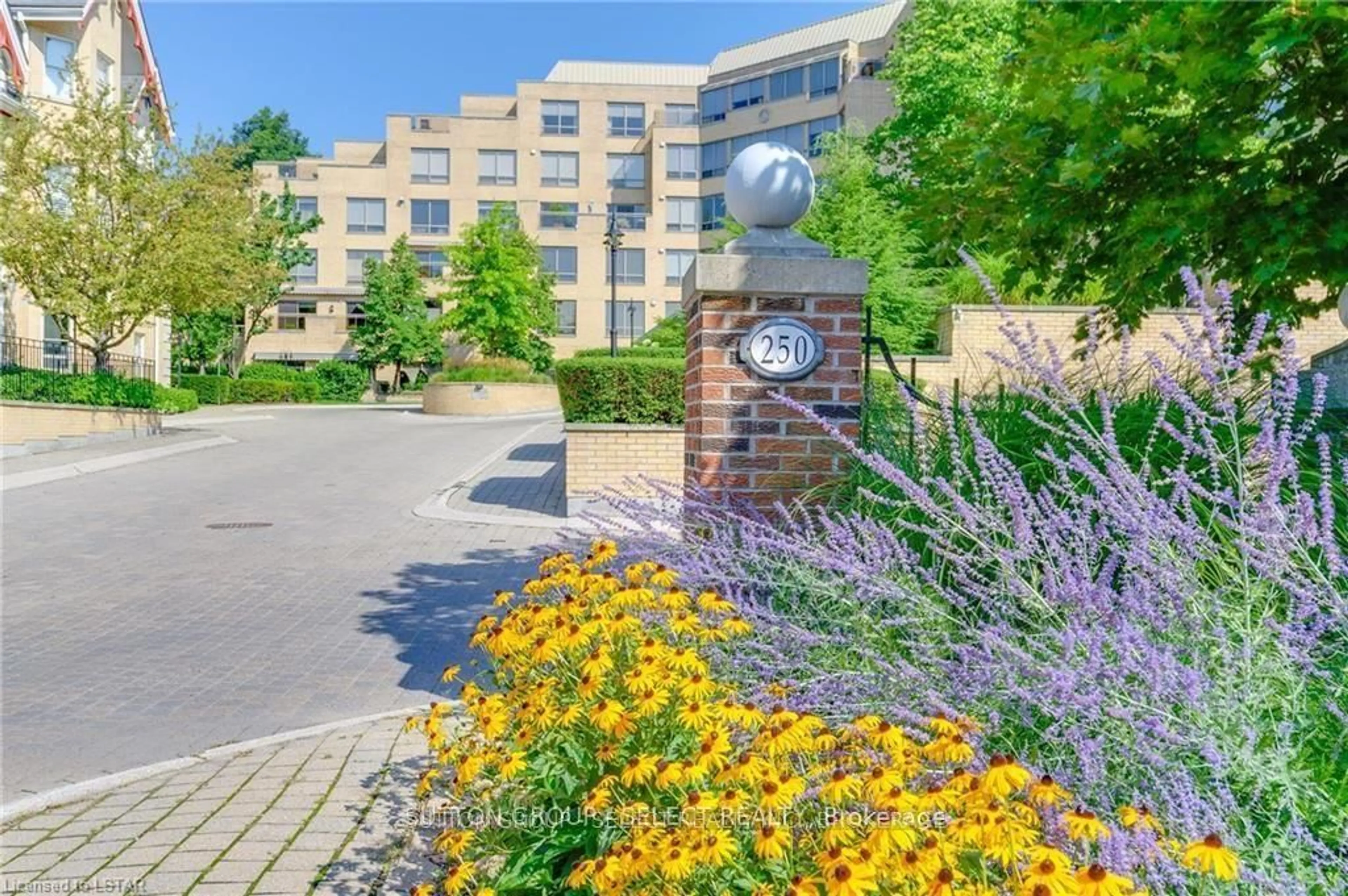 Unknown for 250 Sydenham St #215, London East Ontario N6A 5S1