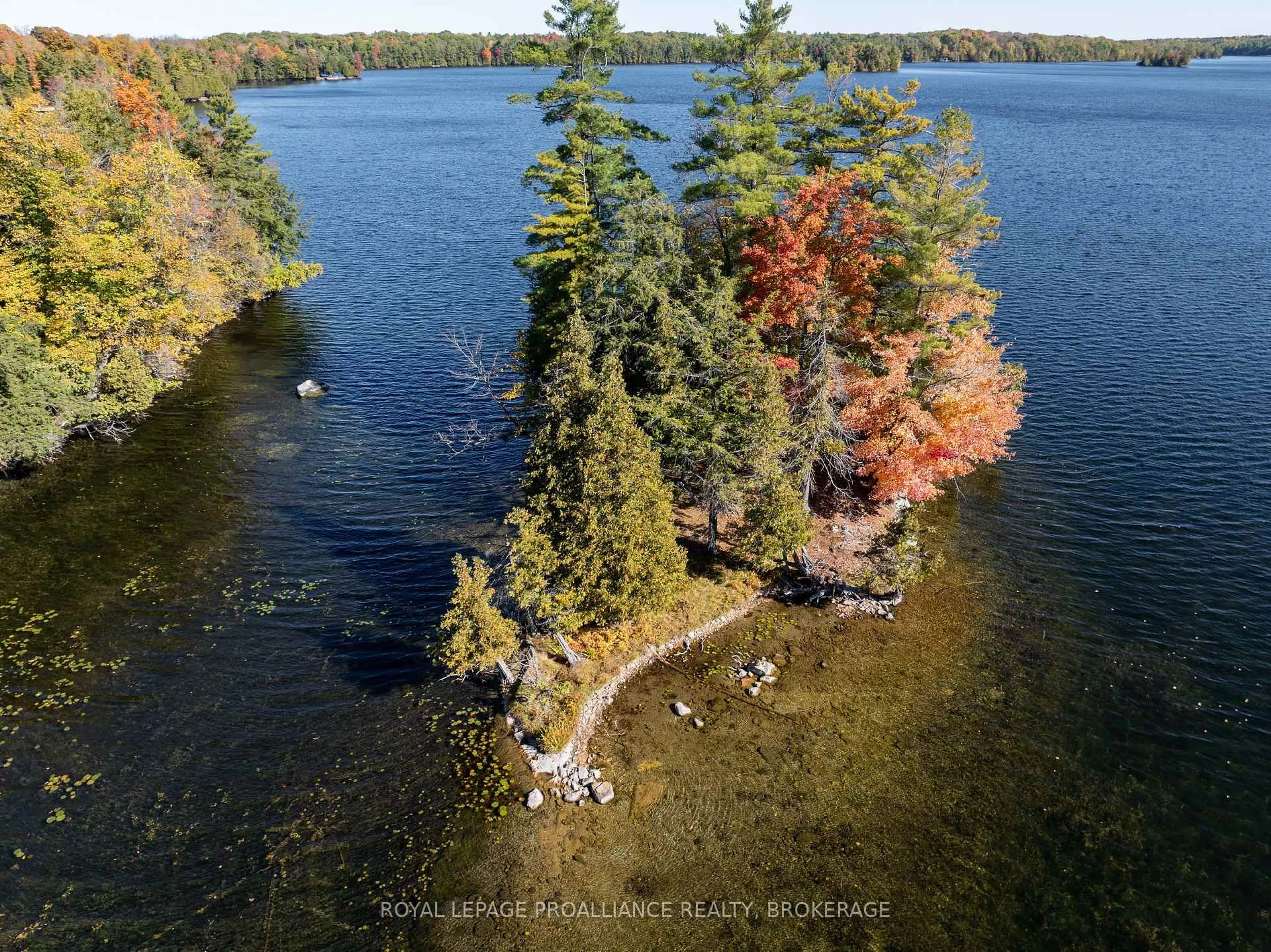 A pic from outside/outdoor area/front of a property/back of a property/a pic from drone, water/lake/river/ocean view for 411 Indian Lake Rd, Rideau Lakes Ontario K0G 1E0