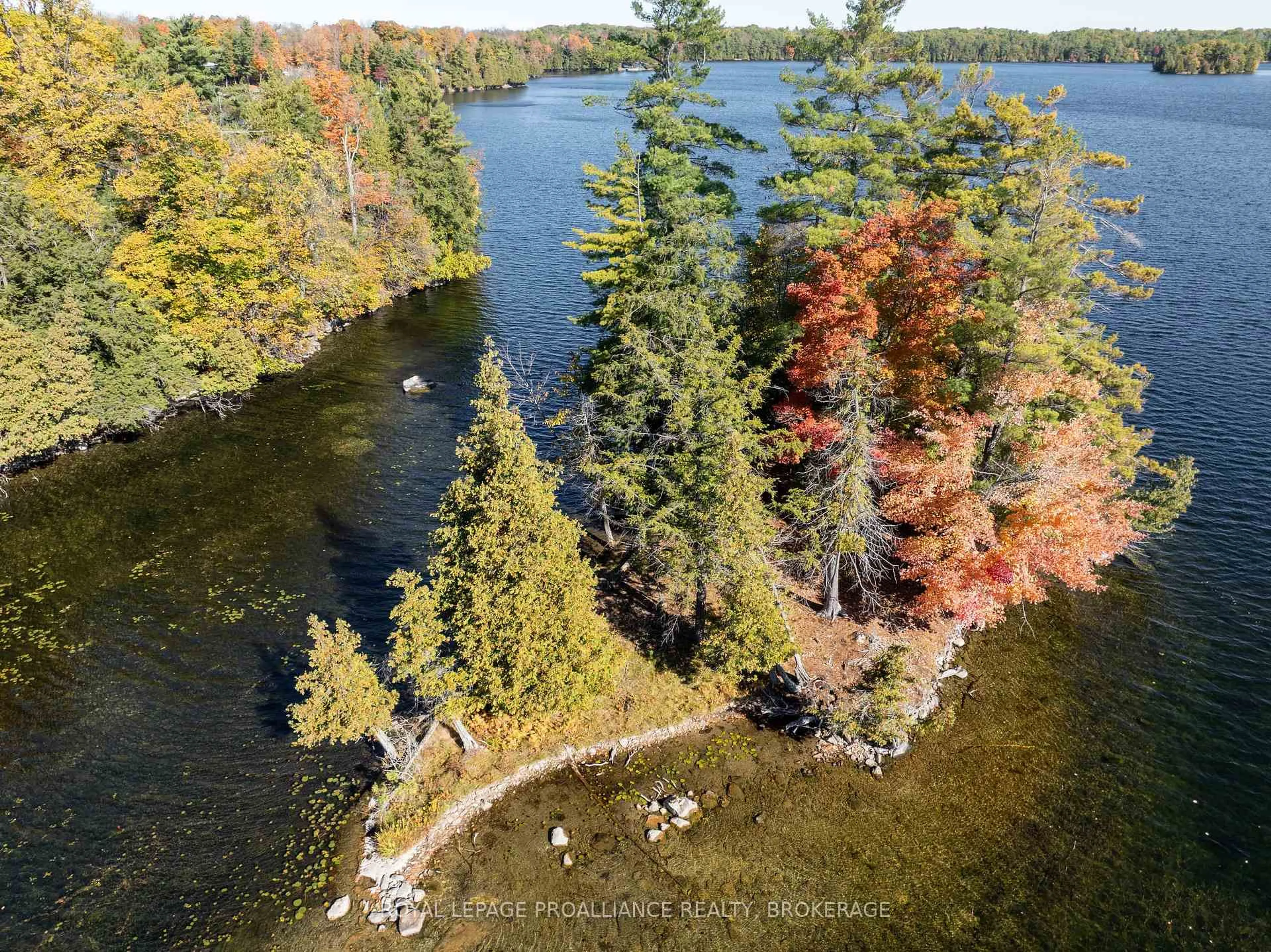 A pic from outside/outdoor area/front of a property/back of a property/a pic from drone, water/lake/river/ocean view for 411 Indian Lake Rd, Rideau Lakes Ontario K0G 1E0