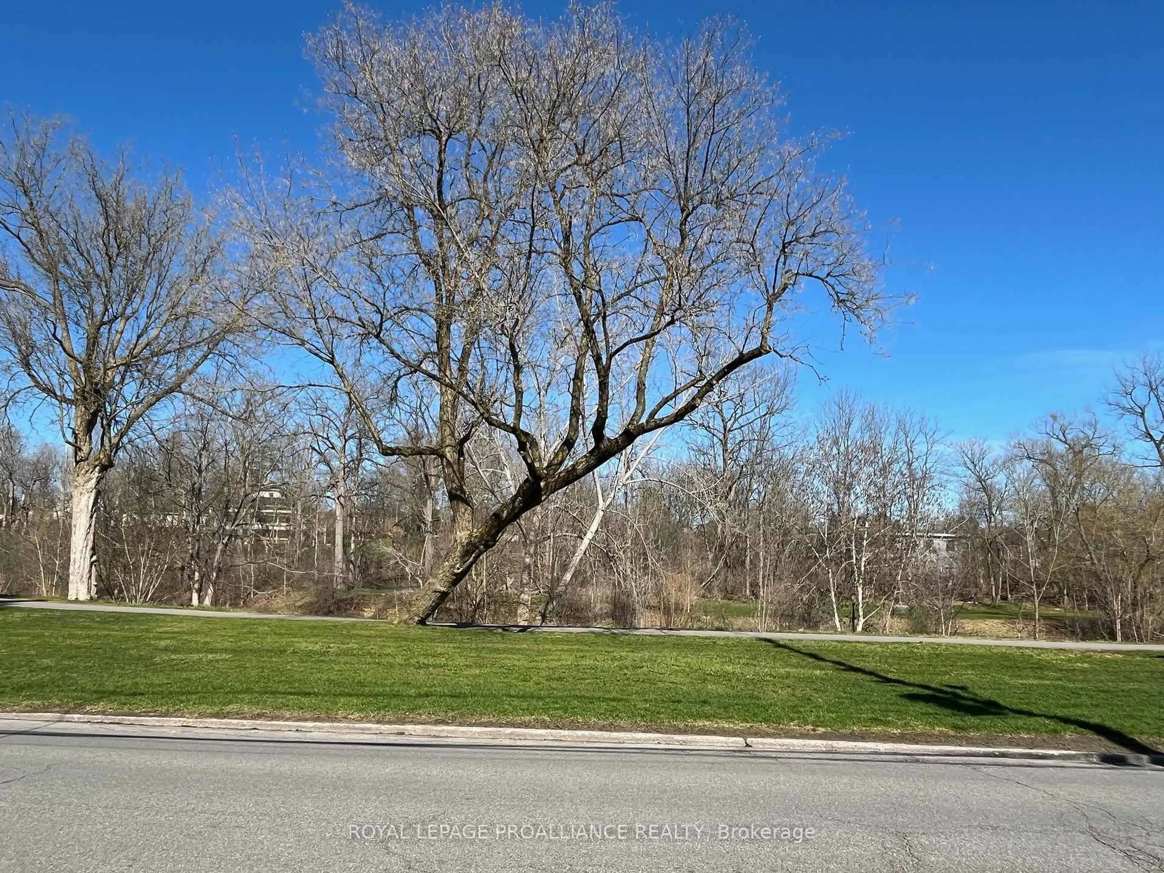 A pic from outside/outdoor area/front of a property/back of a property/a pic from drone, forest/trees view for 90-92 Cavan St, Port Hope Ontario L1A 3B7