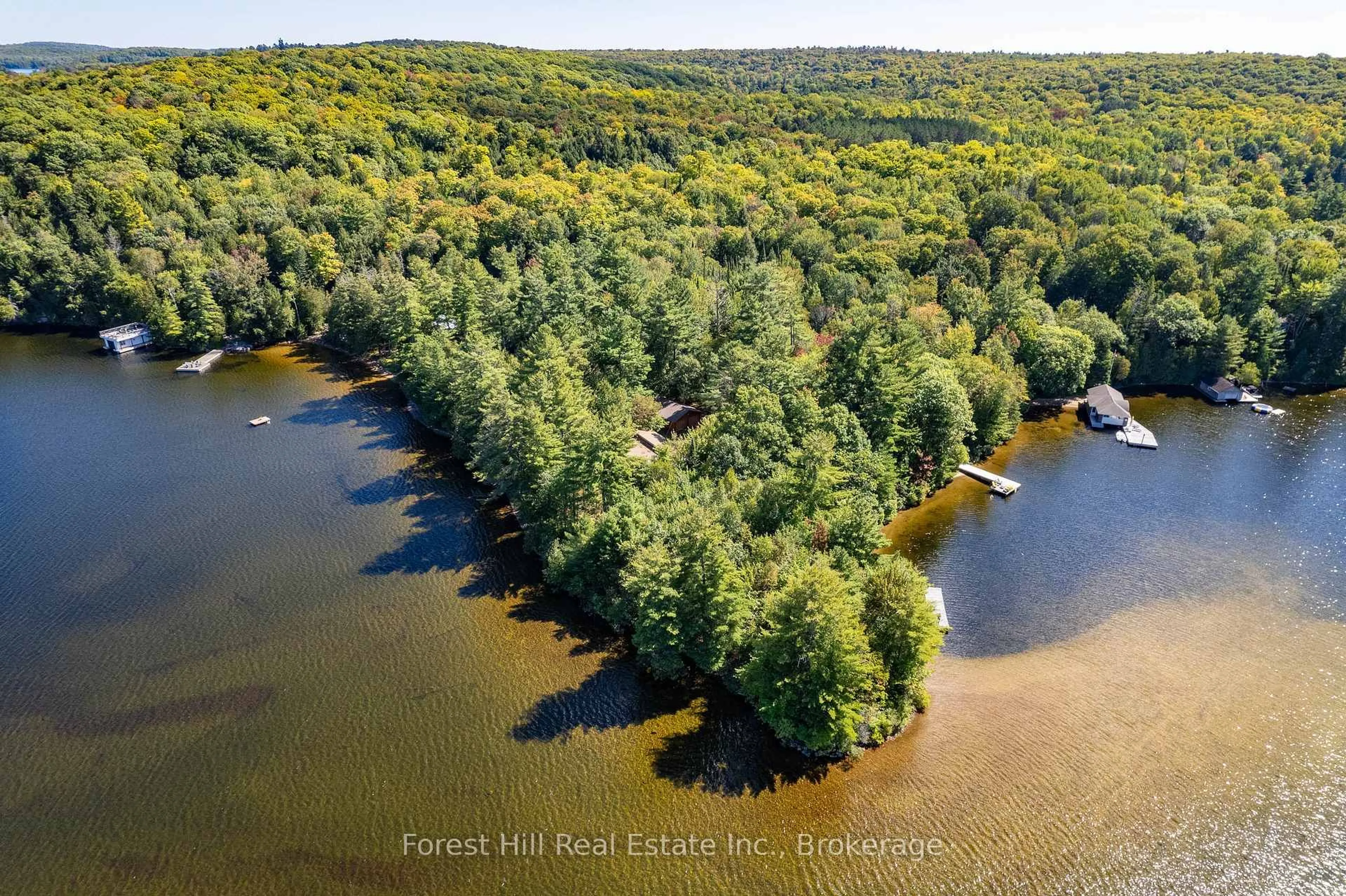 A pic from outside/outdoor area/front of a property/back of a property/a pic from drone, water/lake/river/ocean view for 2991 Muskoka Rd 117 Rd #2, Lake of Bays Ontario P0B 1A0