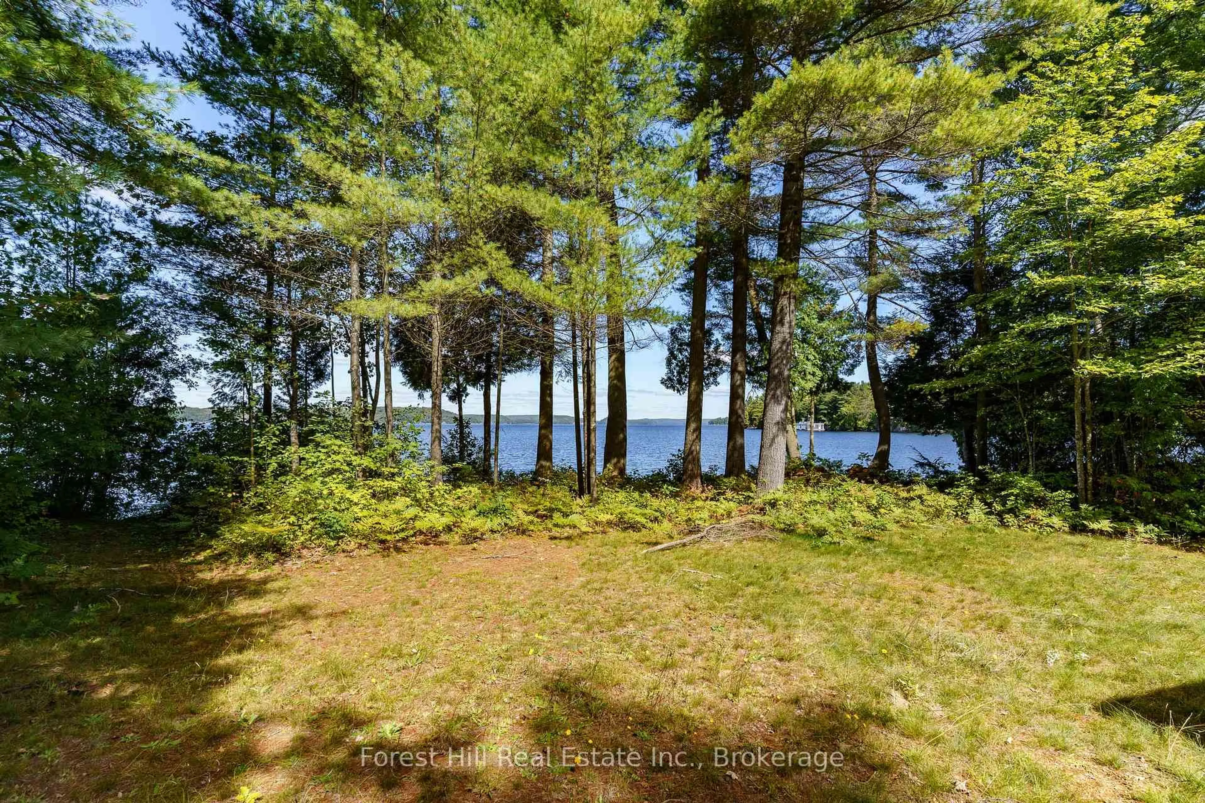 A pic from outside/outdoor area/front of a property/back of a property/a pic from drone, water/lake/river/ocean view for 2991 Muskoka Rd 117 Rd #2, Lake of Bays Ontario P0B 1A0
