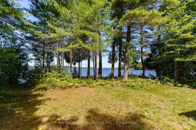 2991 Muskoka Rd 117 Rd #2, Lake of Bays 3
