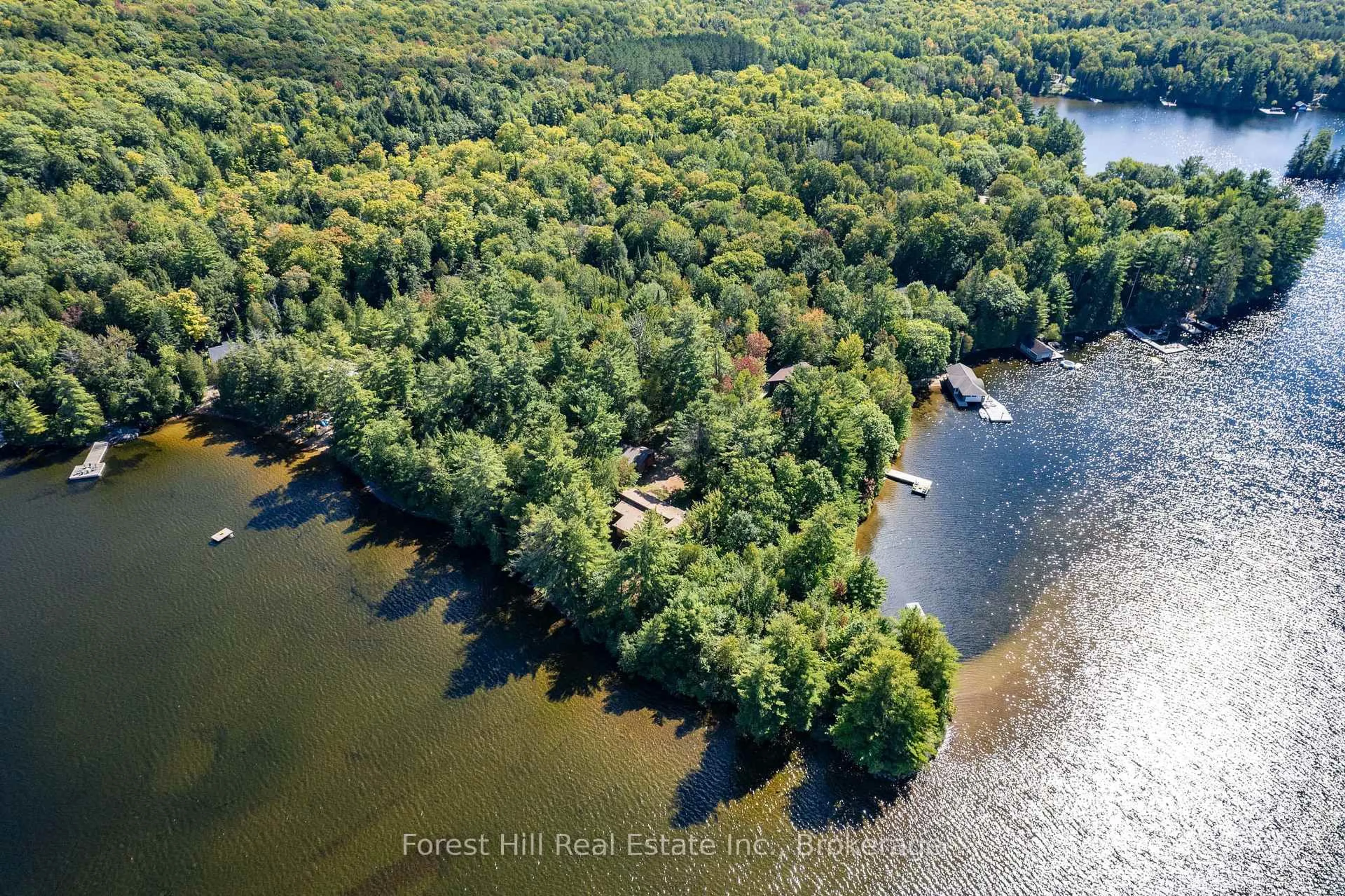 A pic from outside/outdoor area/front of a property/back of a property/a pic from drone, water/lake/river/ocean view for 2991 Muskoka Rd 117 Rd #2, Lake of Bays Ontario P0B 1A0