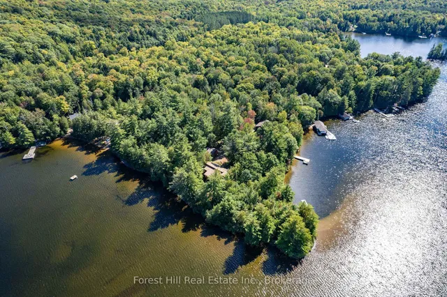 2991 Muskoka Rd 117 Rd #2, Lake of Bays 4