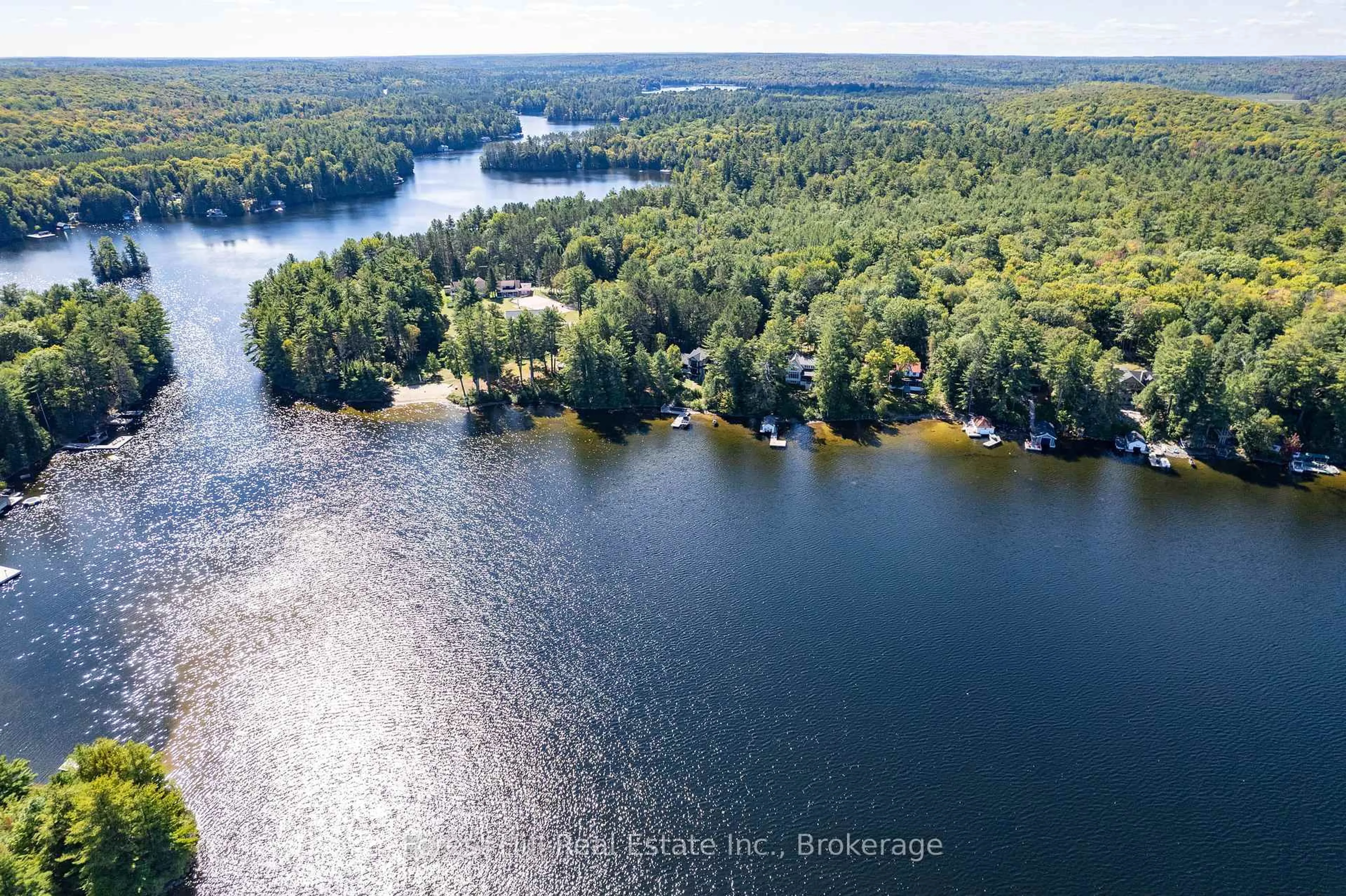 A pic from outside/outdoor area/front of a property/back of a property/a pic from drone, water/lake/river/ocean view for 2991 Muskoka Rd 117 Rd #2, Lake of Bays Ontario P0B 1A0