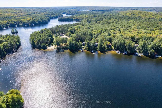 2991 Muskoka Rd 117 Rd #2, Lake of Bays 5