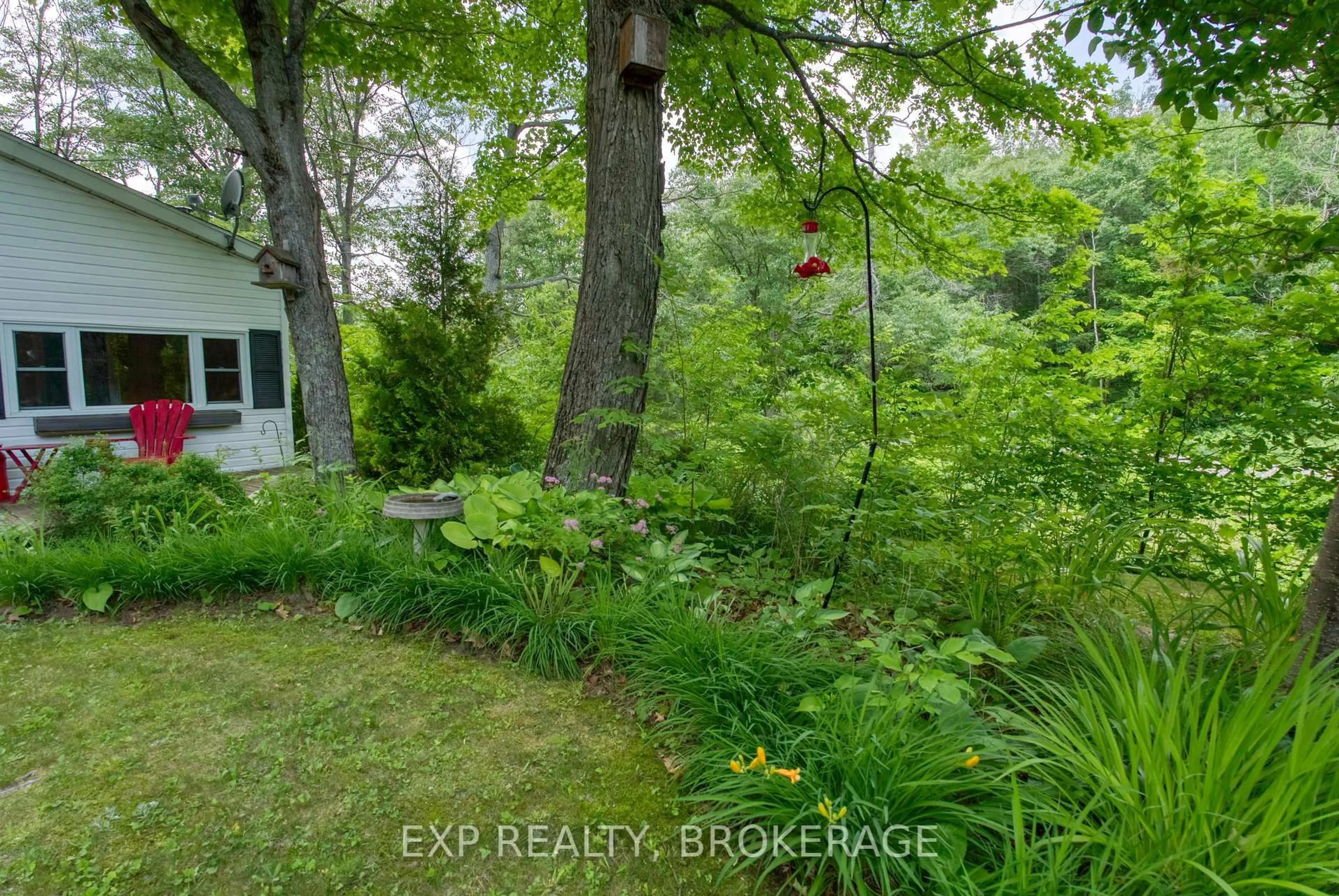 A pic from outside/outdoor area/front of a property/back of a property/a pic from drone, forest/trees view for 1036 Lakeshore Rd, Arden Ontario K0H 1B0