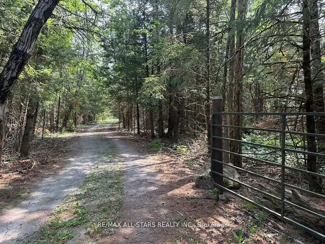 380 Ledge Rd, Trent Lakes 5