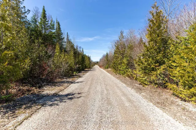 1137 SUNSET Dr, South Bruce Peninsula 4
