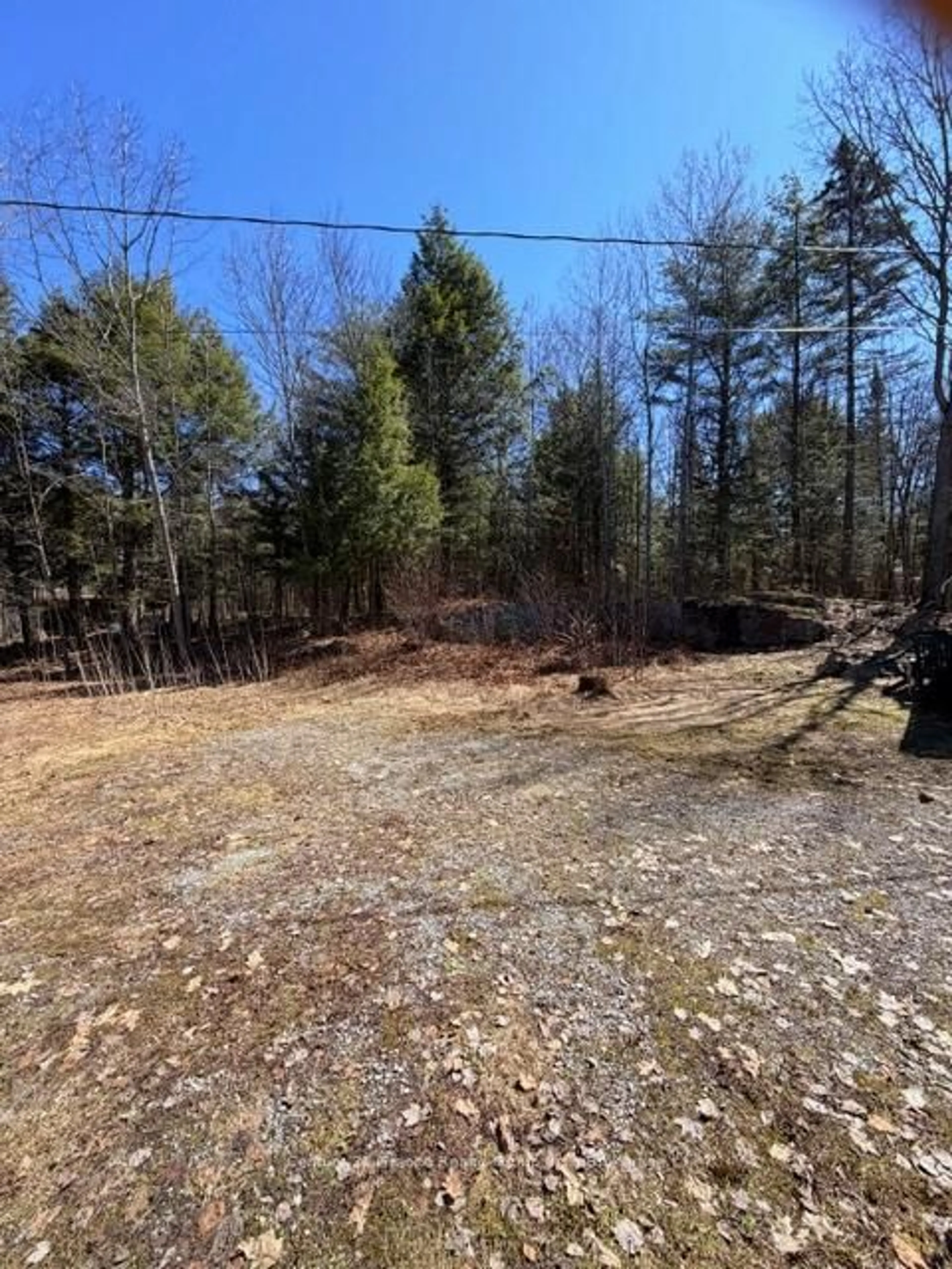 A pic from outside/outdoor area/front of a property/back of a property/a pic from drone, forest/trees view for 1464 Buckslide Rd, Algonquin Highlands Ontario K0M 1S0