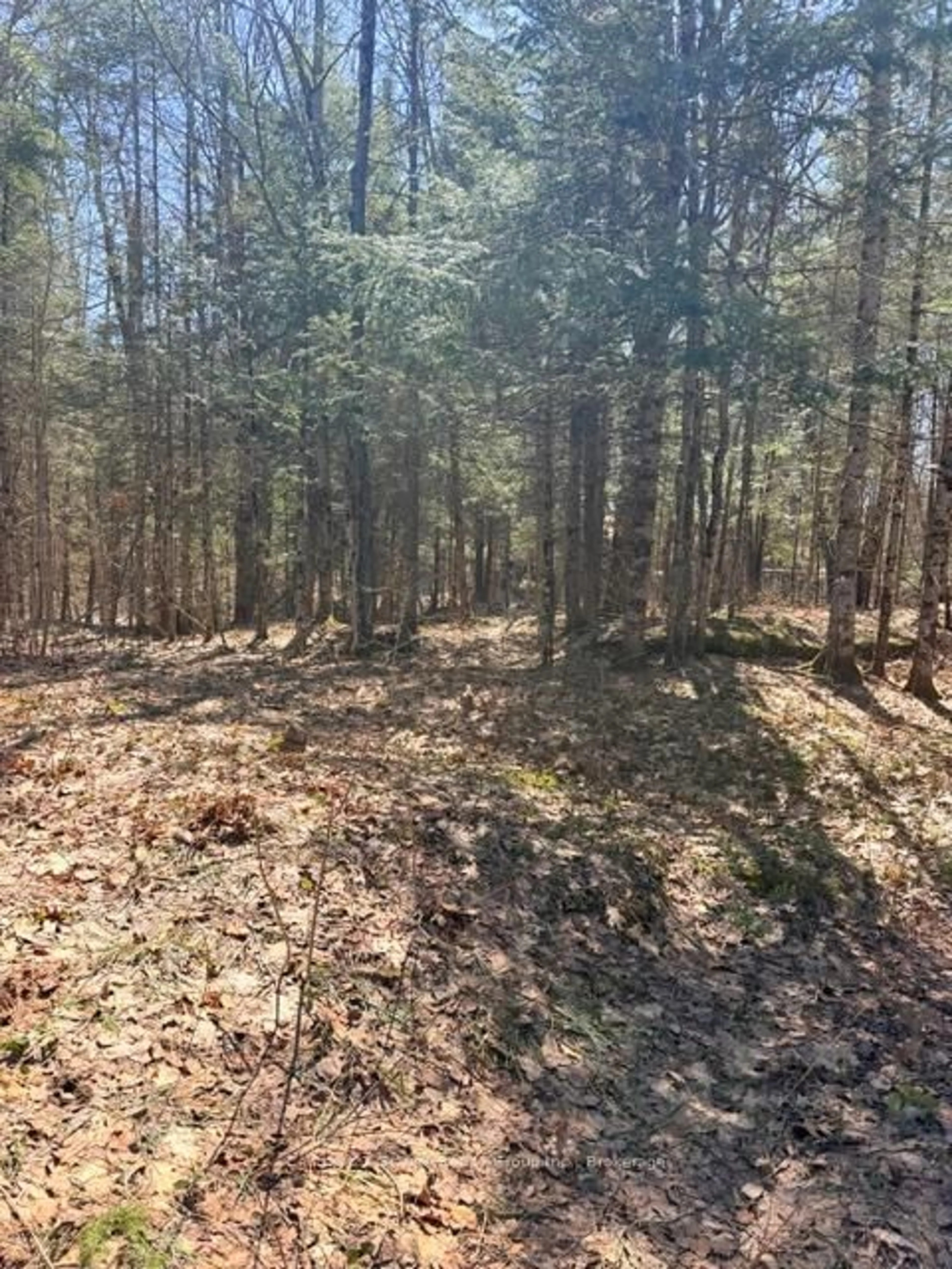 Unknown for 1464 Buckslide Rd, Algonquin Highlands Ontario K0M 1S0