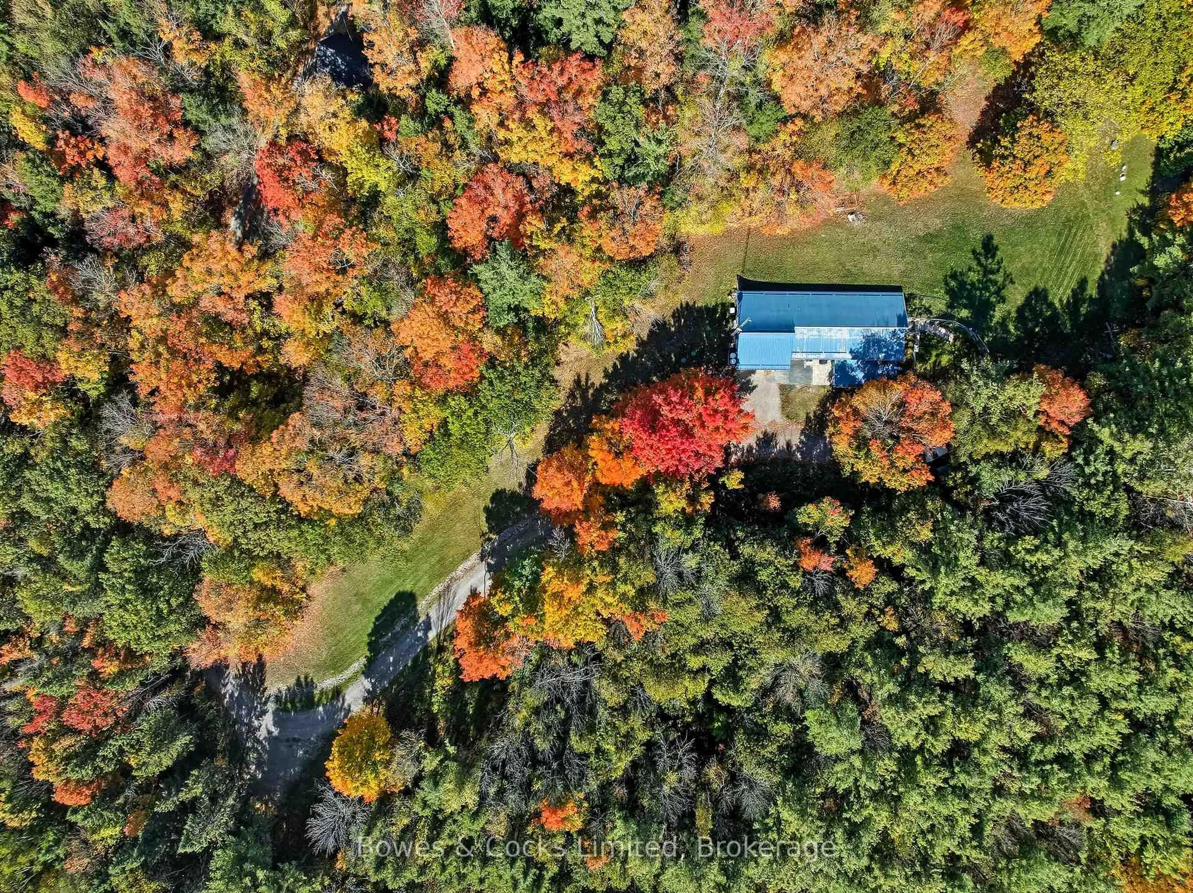 A pic from outside/outdoor area/front of a property/back of a property/a pic from drone, forest/trees view for 511 Concession Road 12, Trent Hills Ontario K0L 1Y0