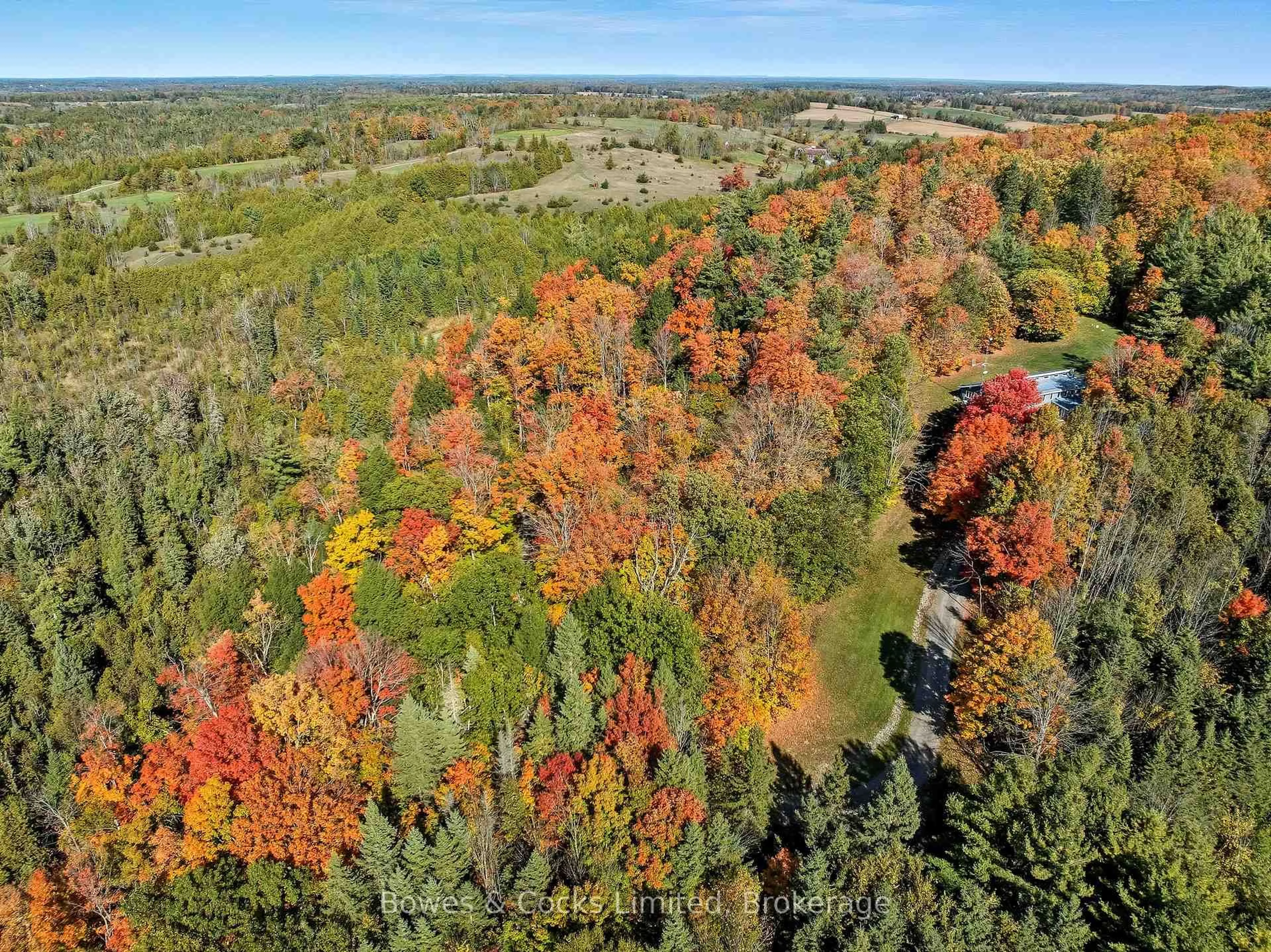 A pic from outside/outdoor area/front of a property/back of a property/a pic from drone, forest/trees view for 511 Concession Road 12, Trent Hills Ontario K0L 1Y0