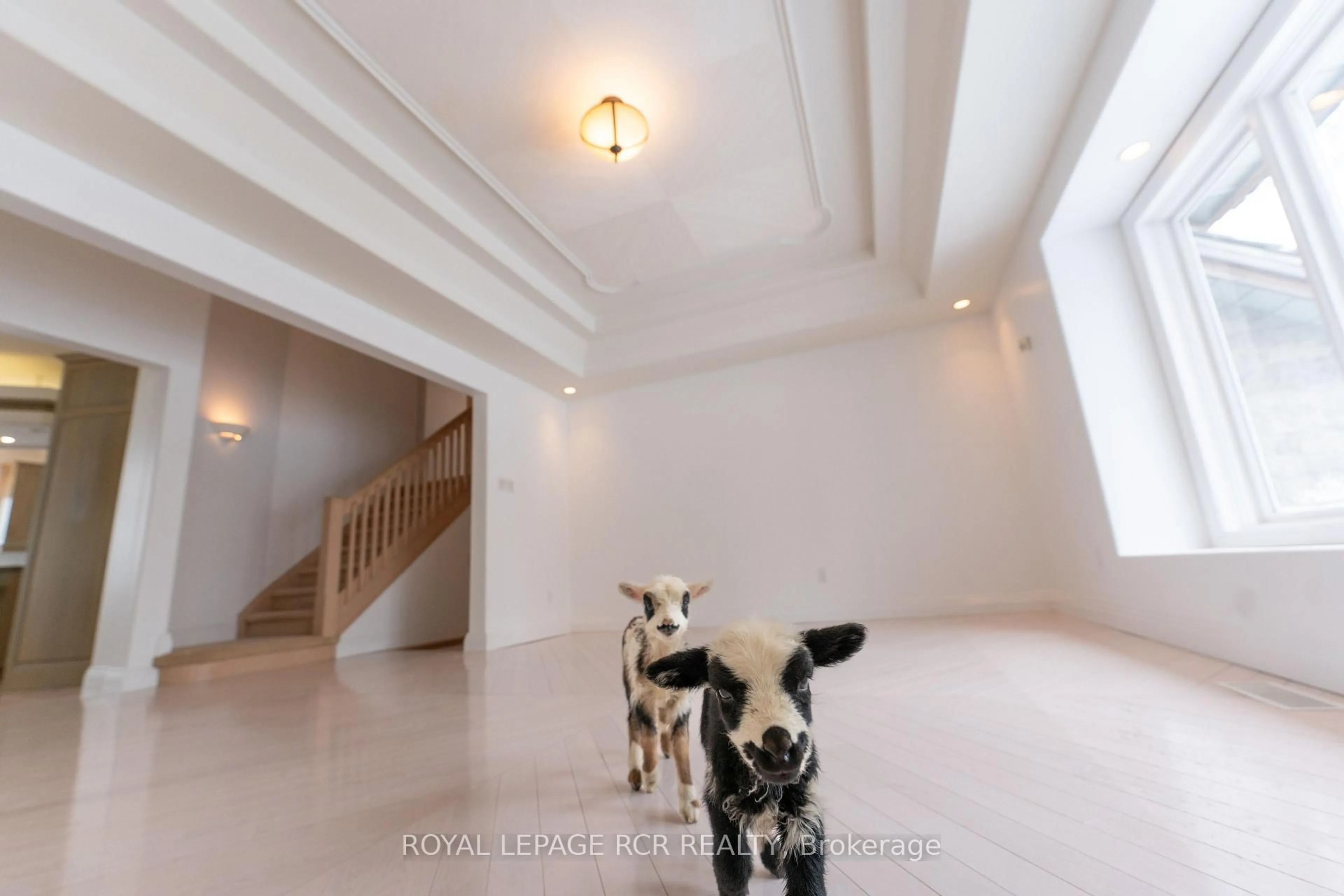 Indoor foyer for 101089 10th Sdrd, East Garafraxa Ontario L9W 7J9