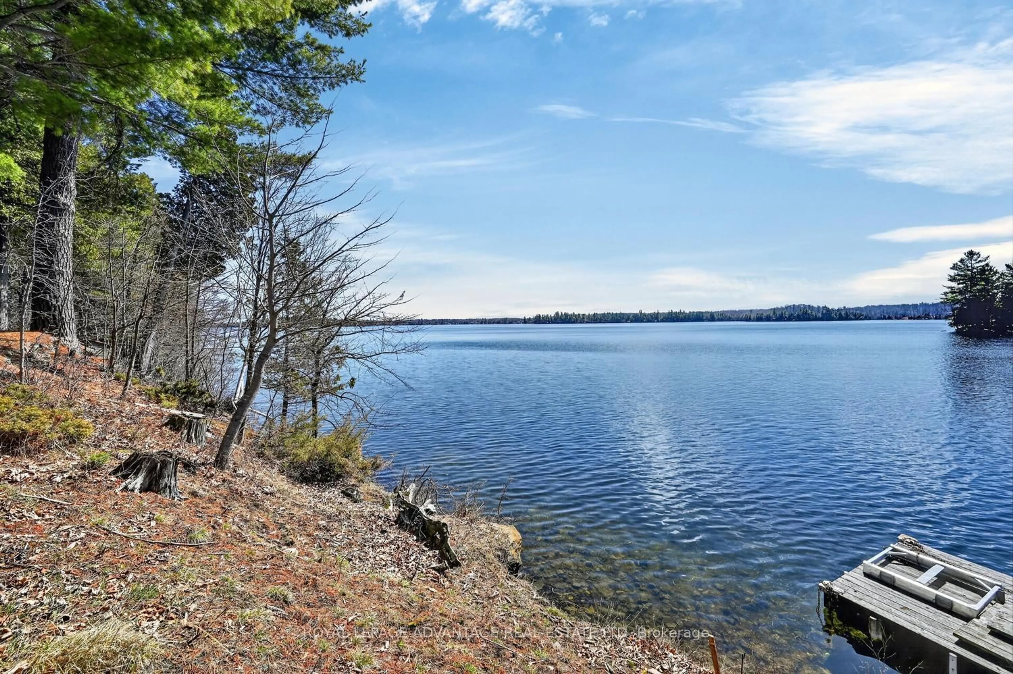 A pic from outside/outdoor area/front of a property/back of a property/a pic from drone, water/lake/river/ocean view for 219 Hardy Lane, Perth Ontario K7H 3C5