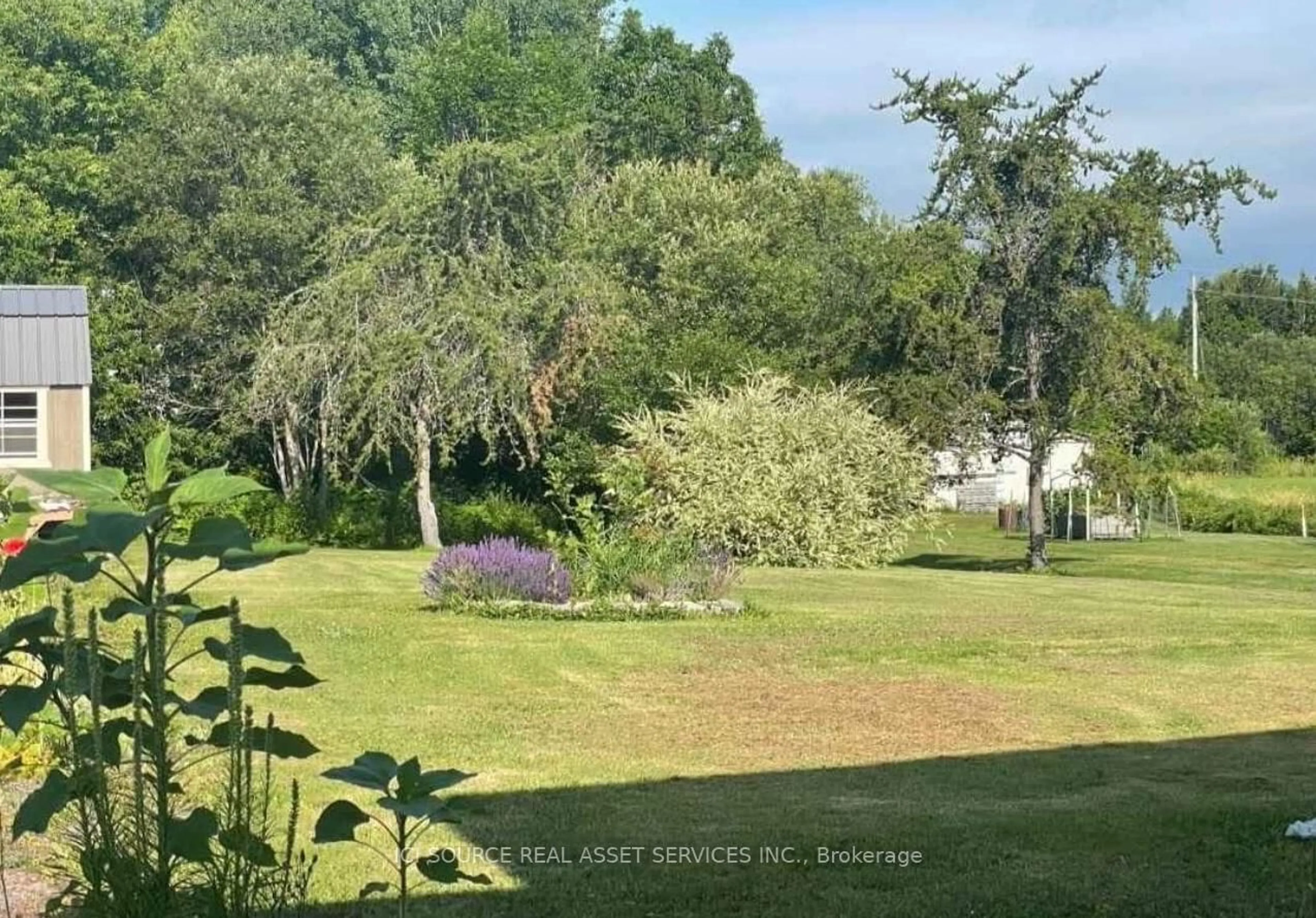 A pic from outside/outdoor area/front of a property/back of a property/a pic from drone, forest/trees view for 289 Dovercourt Rd, West Nipissing Ontario P2B 3J2